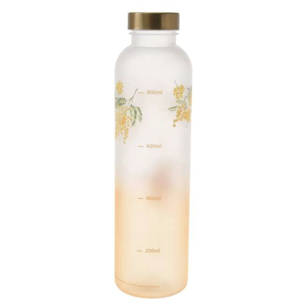 預訂 Drinkware 不銹鋼水杯連杯套 大容量水樽 Marie Aliens Pooh Minnie 