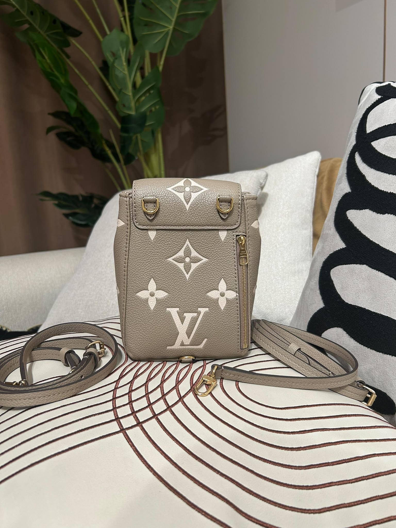 Lv tiny backpack 100%Authentic ,98%new✅dust bag ✅strap  