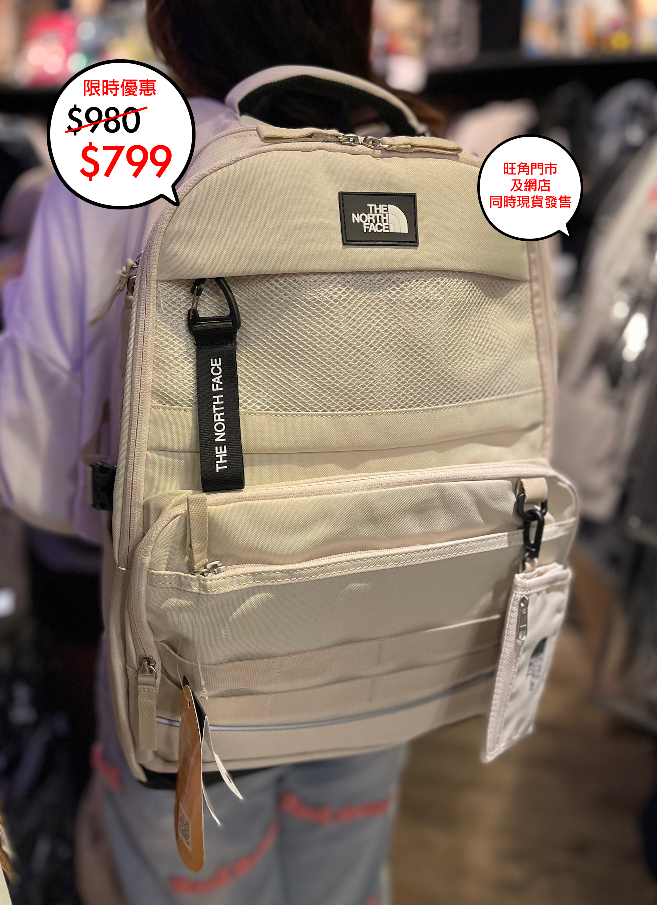 The North face 韓國限定 Dual pro III backpack 系列