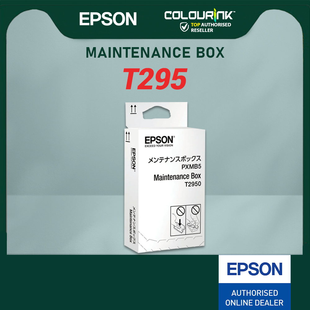 Epson T289 Black, T290 Colour, Pigment Ink Cartridge, T295 Maintaince Box For WF-100