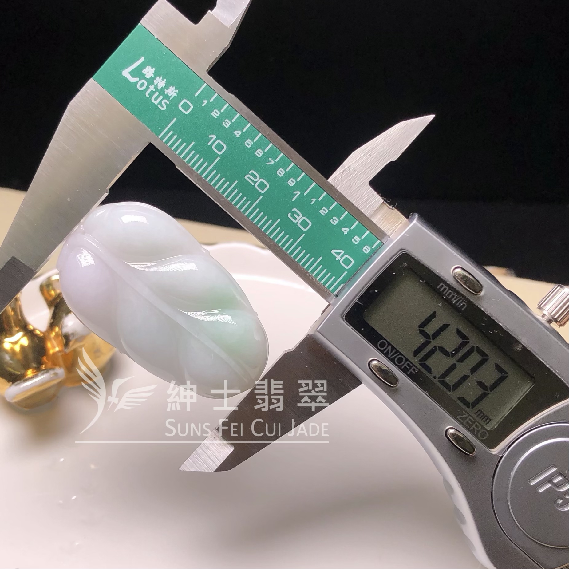 B07224 春彩福葉