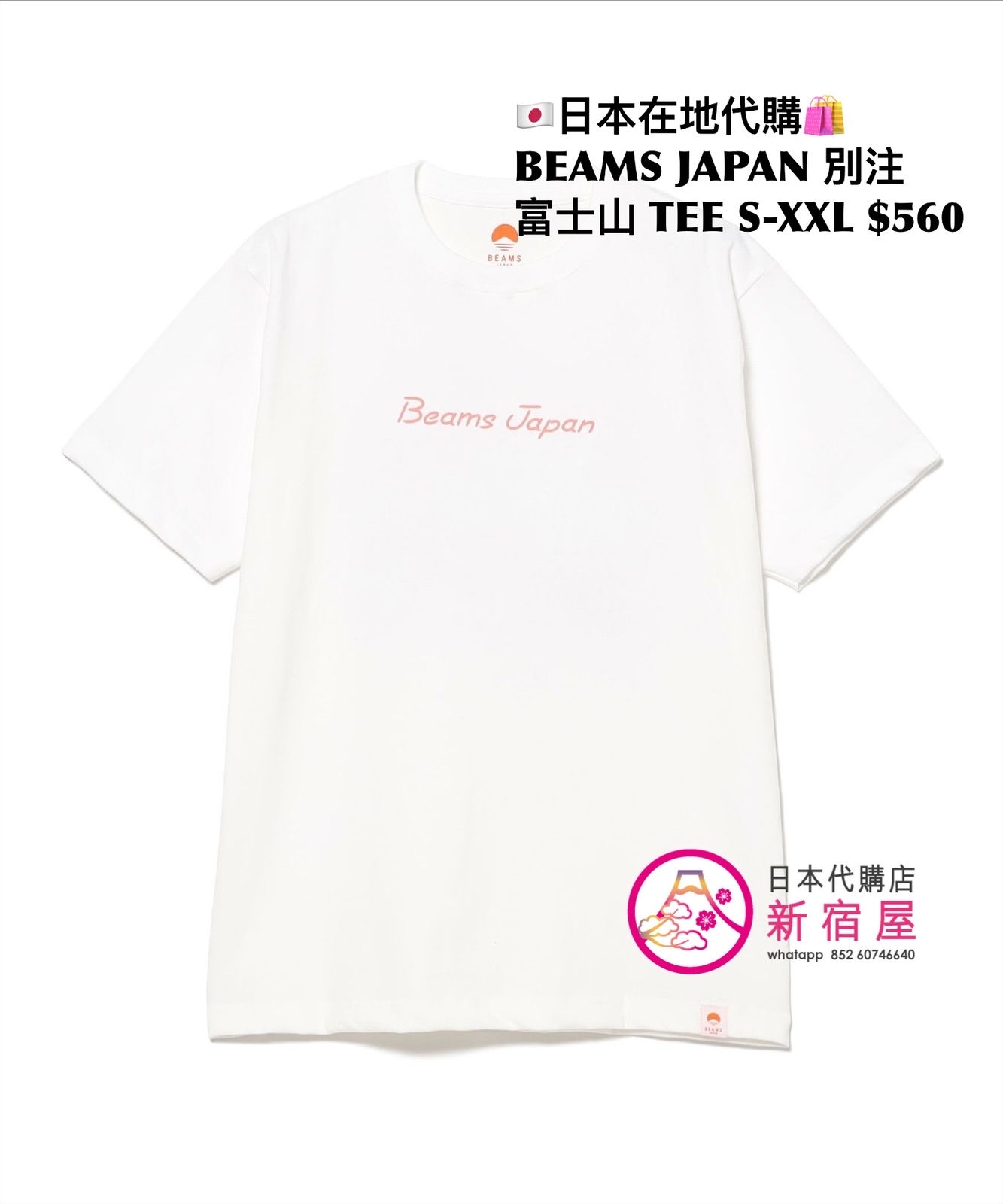 BEAMS JAPAN 別注 富士山 T-SHIRT