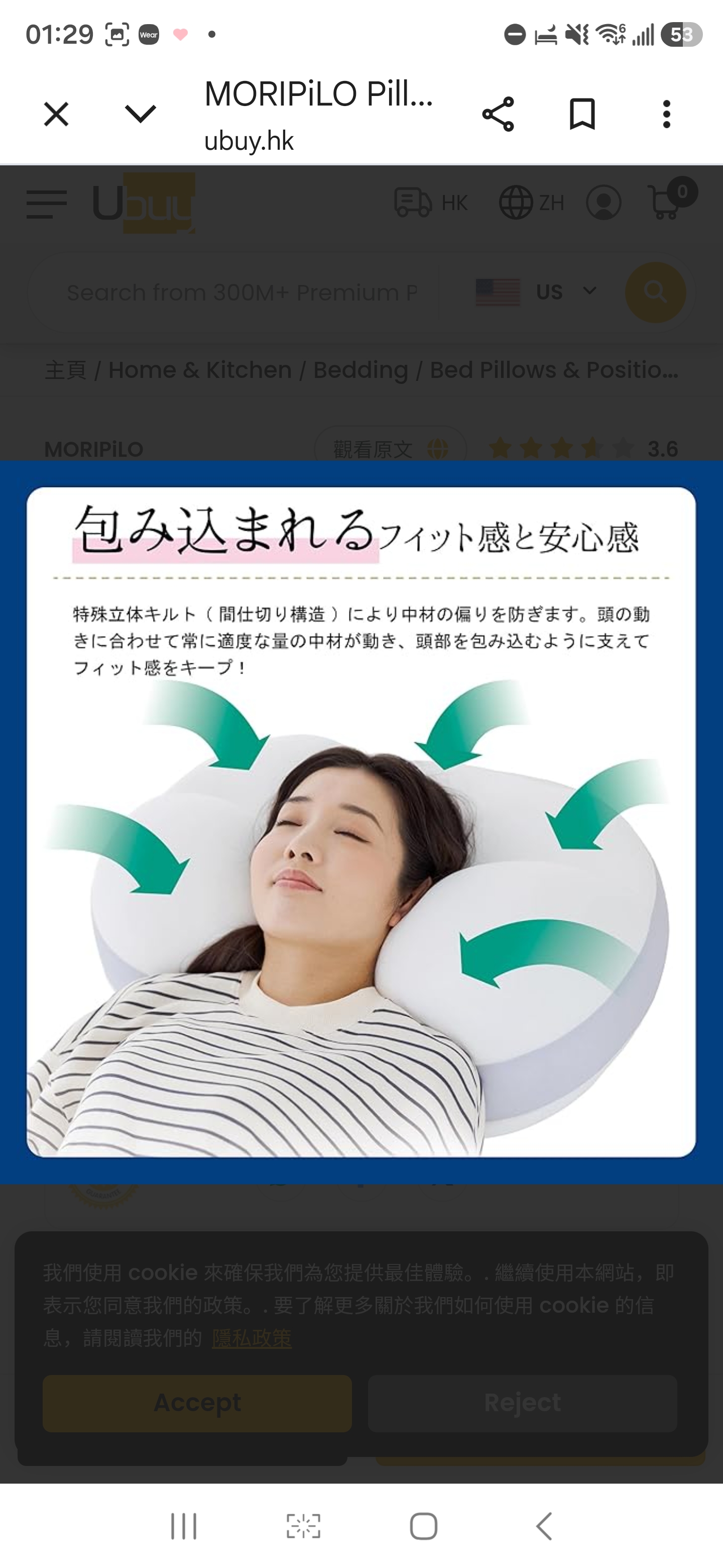 Morishita 人氣蠶絲羽絨枕