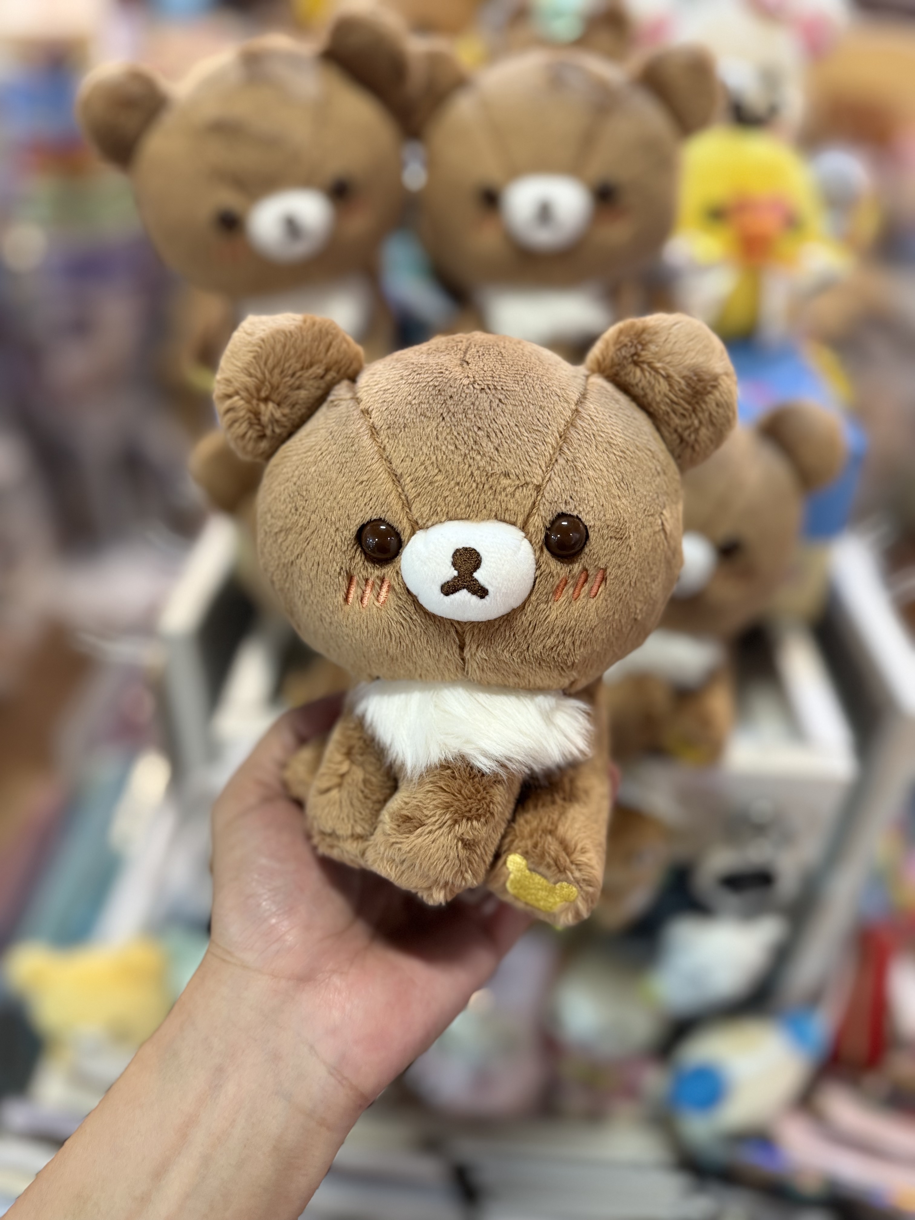 《現貨》全新日本專店限定小熊10週年 側坐小熊公仔