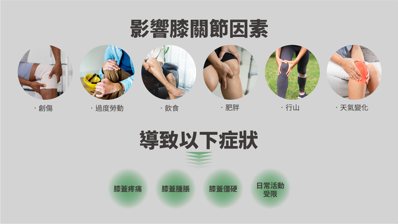 Maxcare - 美天膝健寶 [預計 : 7月中至尾發貨]