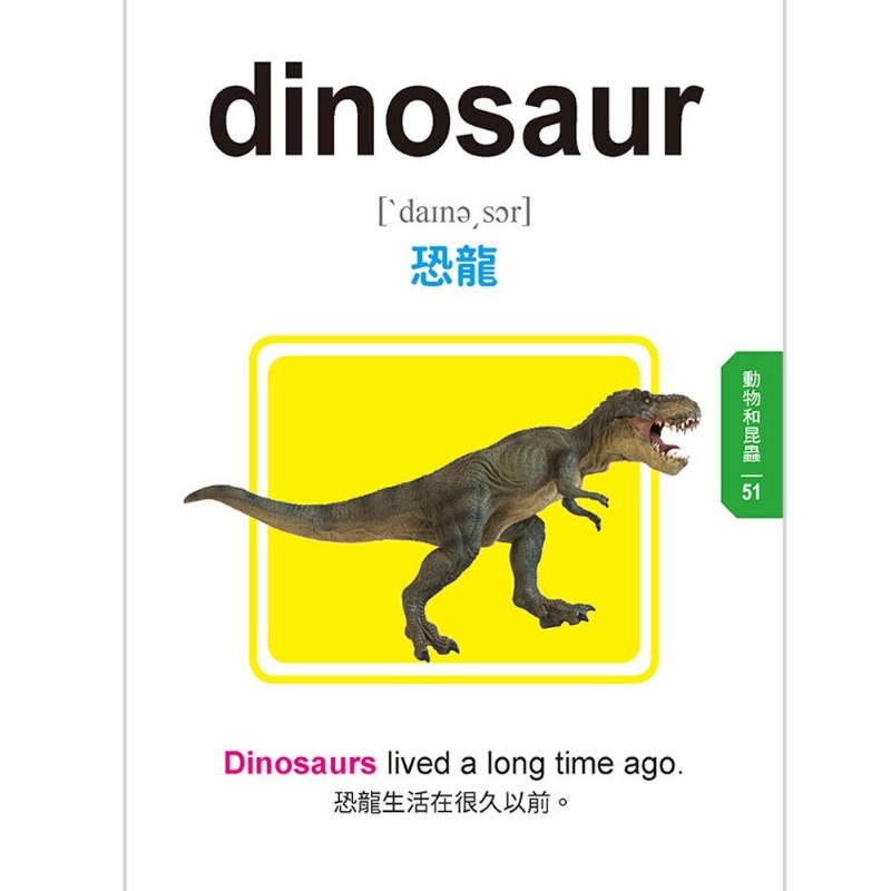 兒童常用英語500單字 (現貨)
