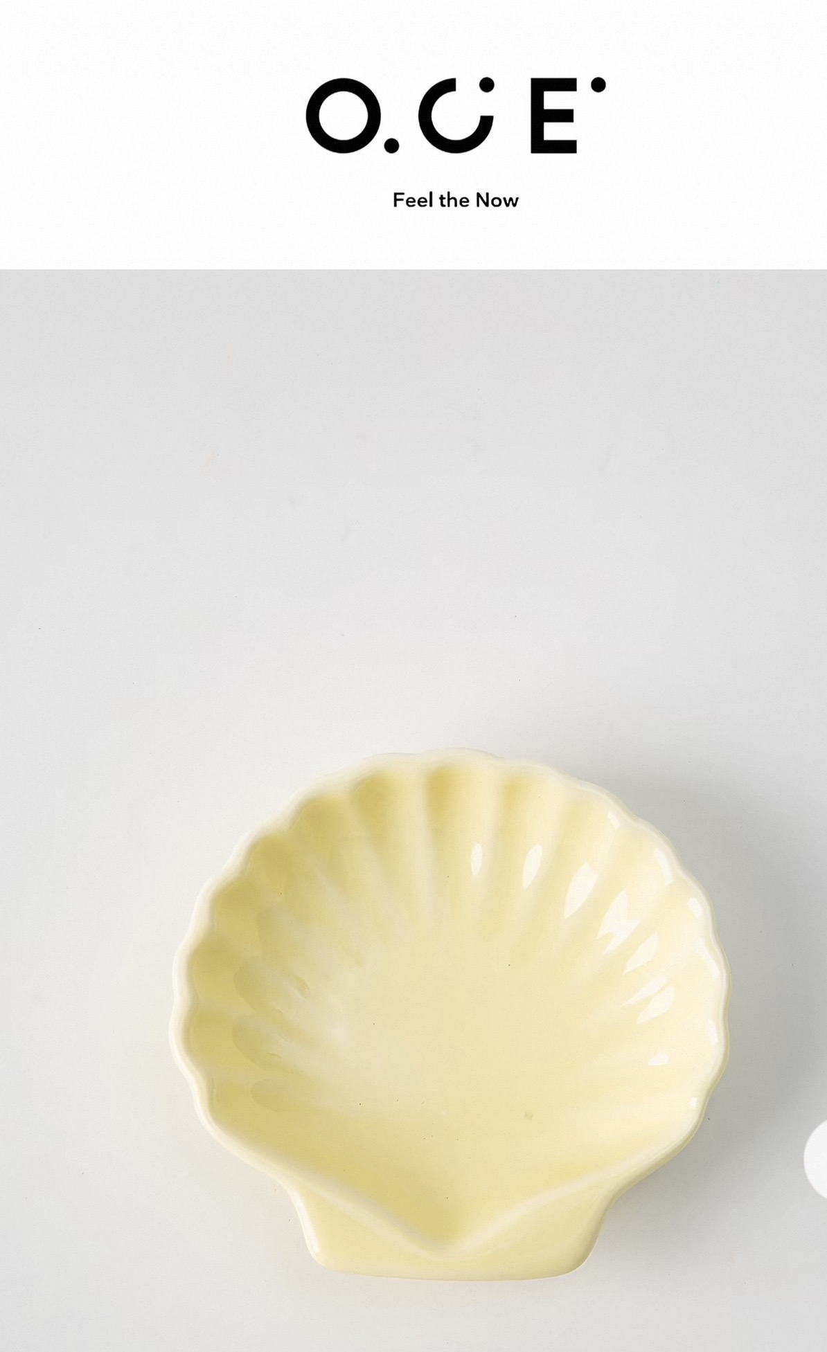 Endless Summer Shell Plate - small 
