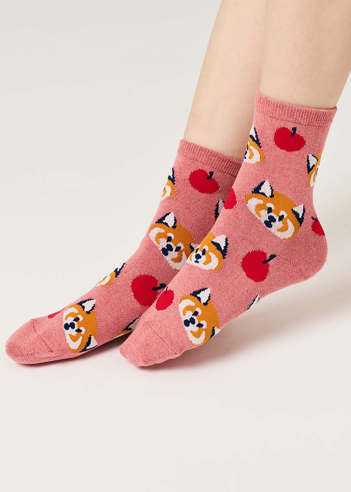 📦訂購 日本限定 graniph IKAKU Red Panda 小熊貓 中筒襪