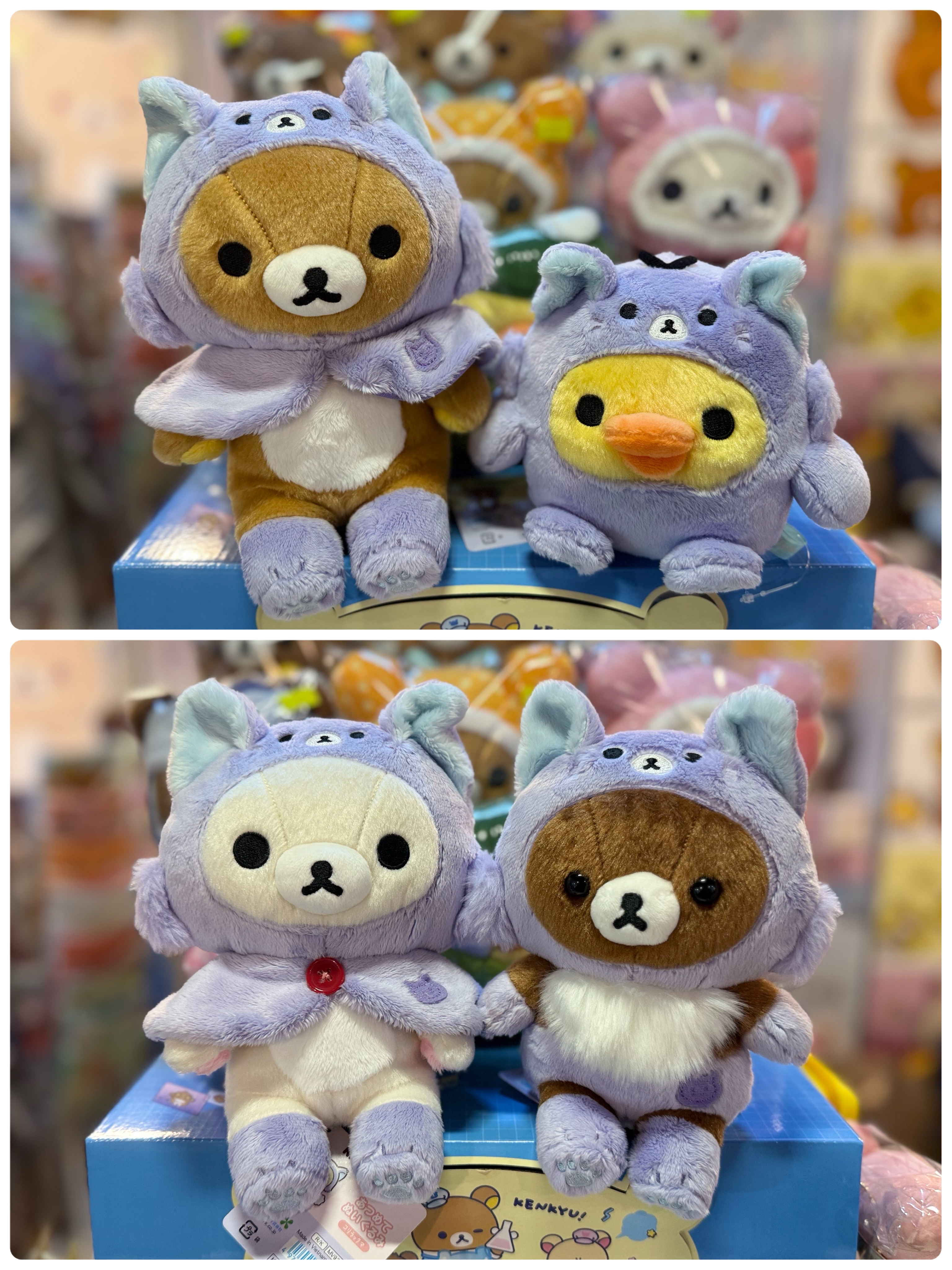《現貨》全新Rilakkuma瓦瓦貓系列公仔