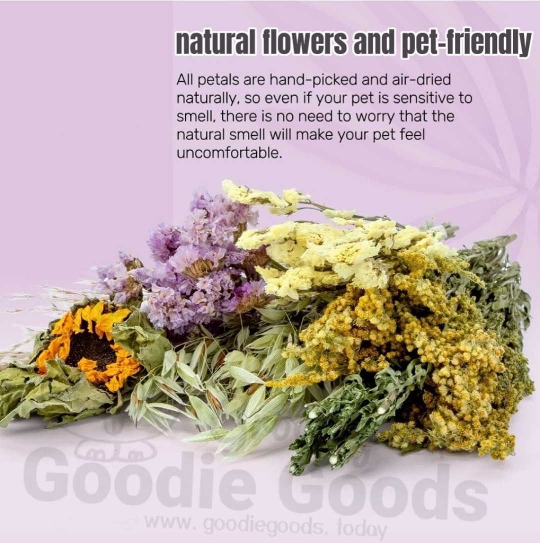 天然柔軟倉鼠寢具伴侶小動物棲息地裝飾適合敘利亞矮倉鼠沙鼠小鼠八齒鼠兔子或其他小型寵物