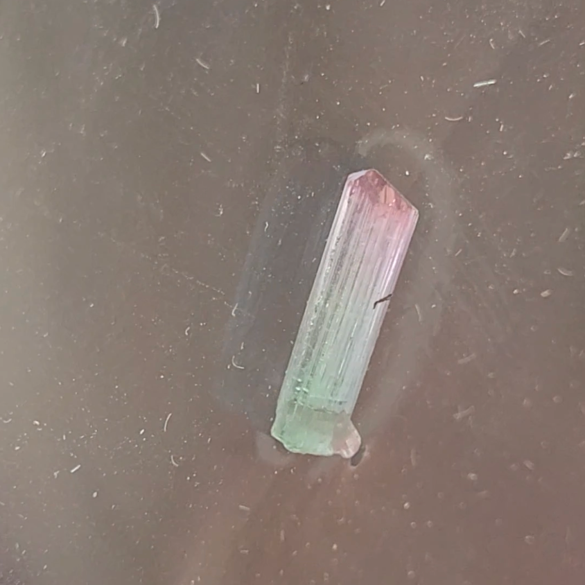 Bi-color tourmaline specimen from Afghanistan - TR48