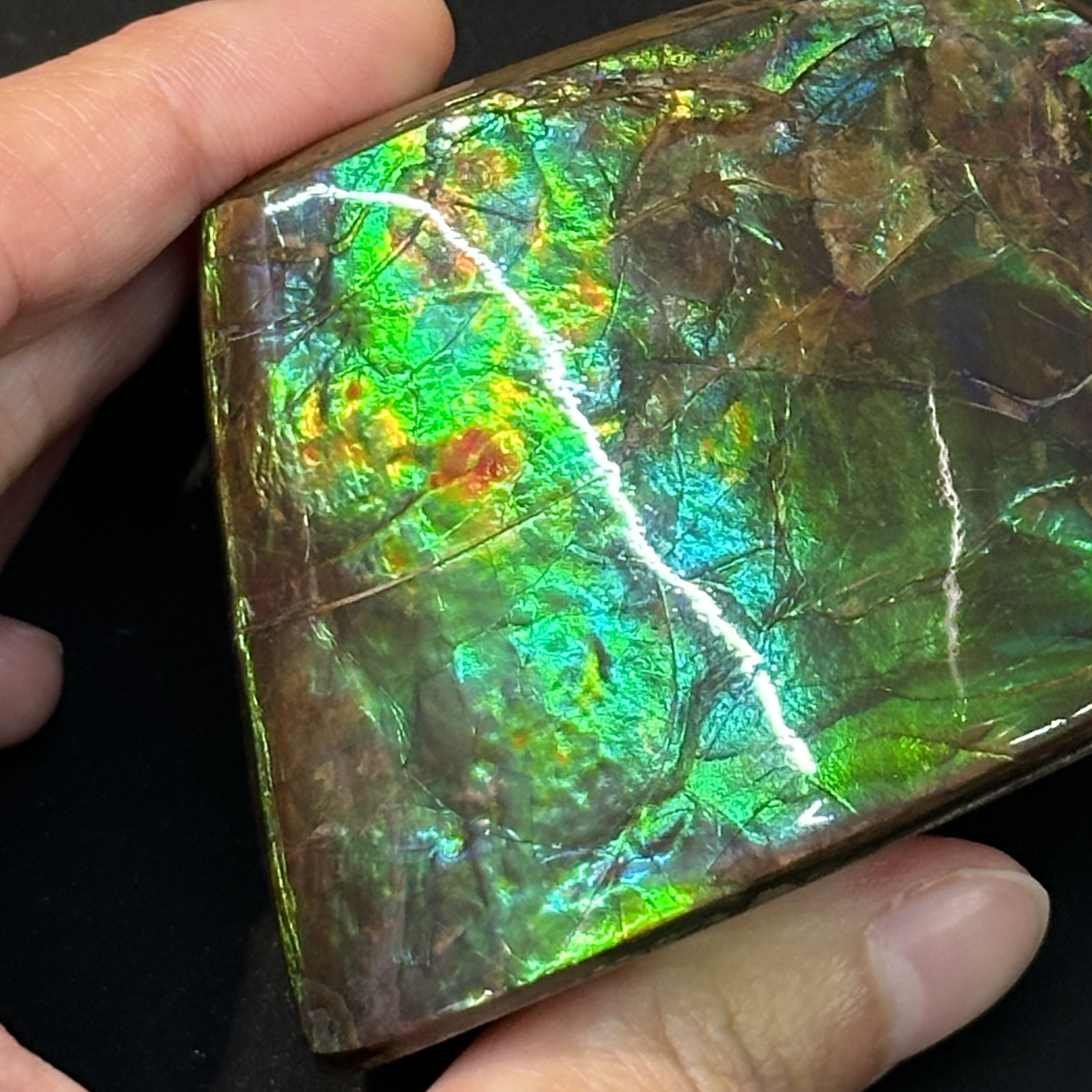 斑彩石 - Ammolite AM05