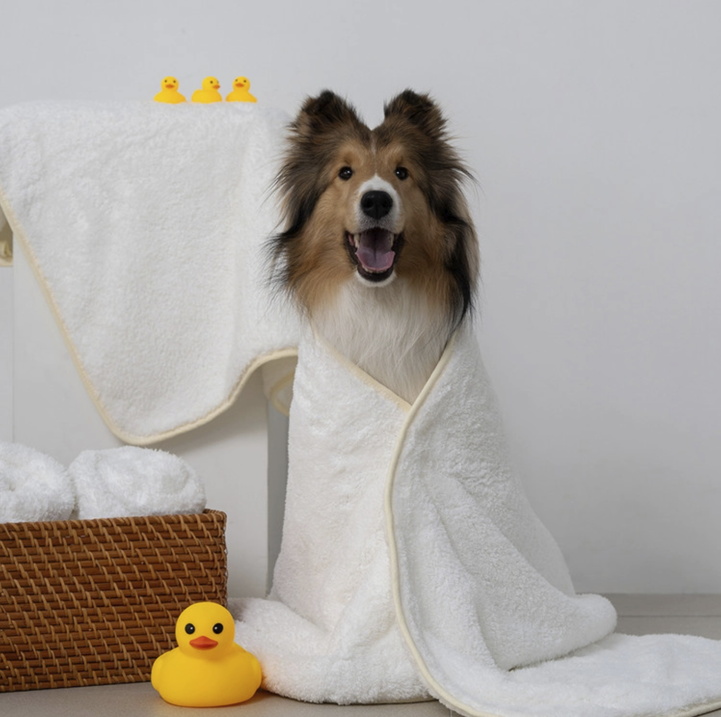 *SuperPet🇰🇷巨無霸寵物吸水毛巾(2件裝）