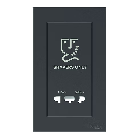 施耐德 奐然AvatarOn C 石墨灰 鬚刨插座 115V/240V