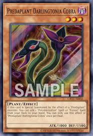 CR11-AE032 (SR)Predaplant Darlingtonia Cobra(捕食植物 蛇瓶草眼鏡蛇)