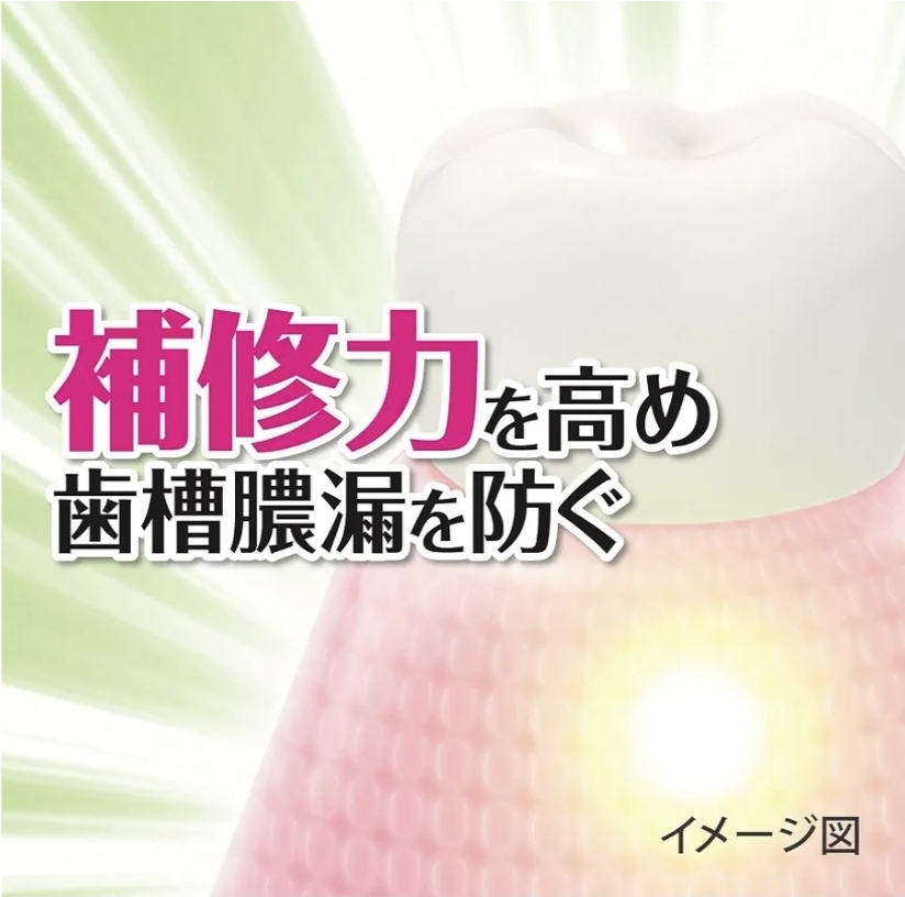 日本小林製藥 生葉EX 藥用牙膏 100g