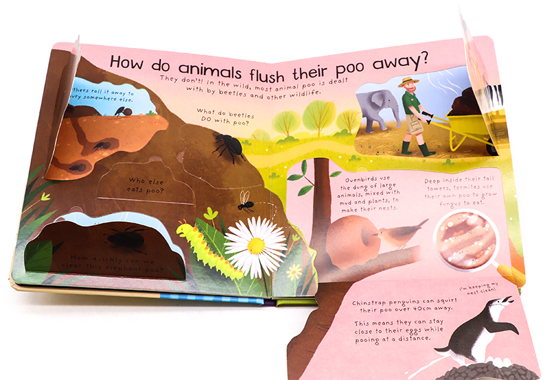 Usborne First Questions and Answers系列翻翻書 Where Does Poo Go便便去哪裡了
