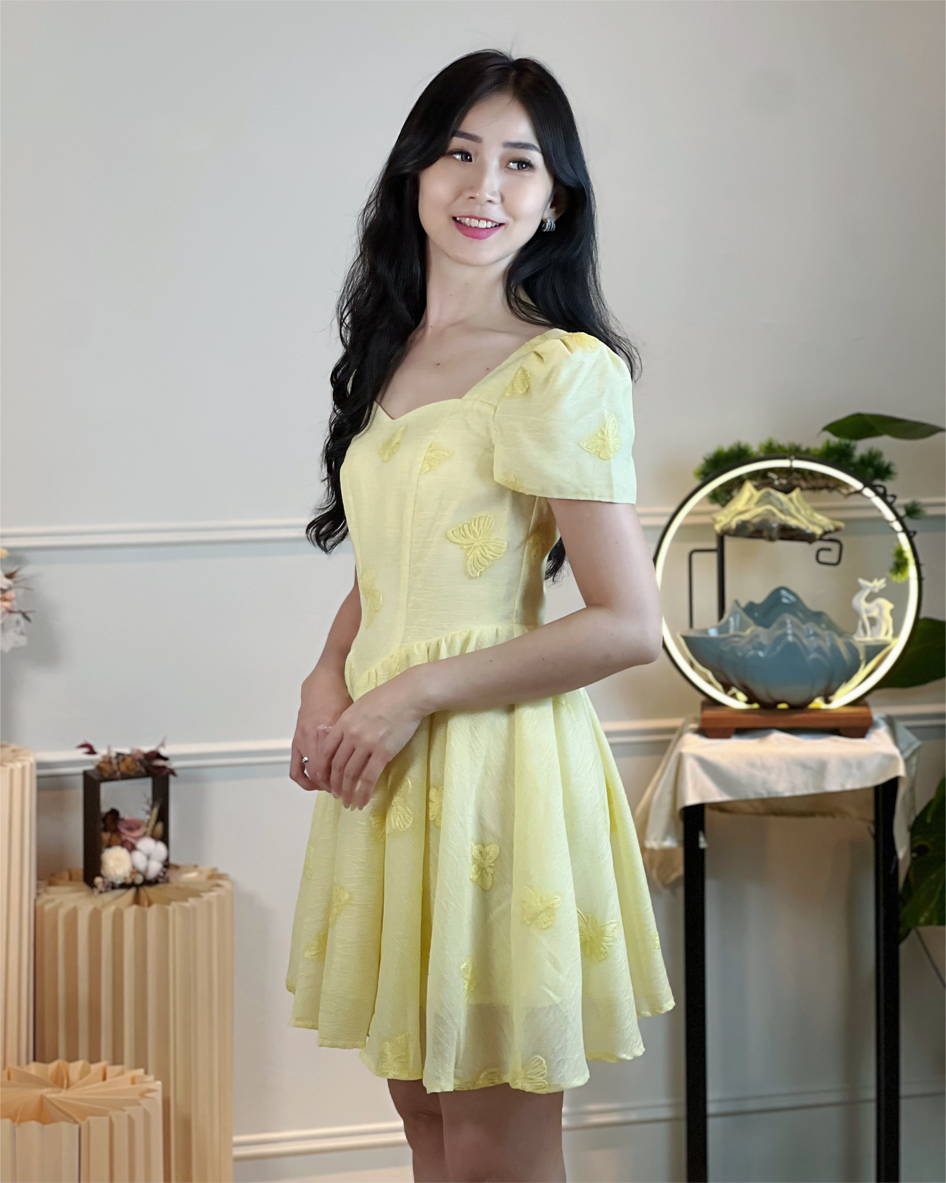 5101 Evangeline Embroidered Butterfly Mini Dress