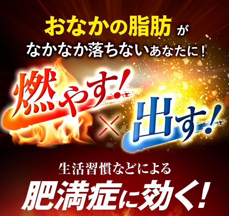 日本小林製藥 漢方防風通聖散 分解減脂排油 Za升級強效版 105錠(7日分) / 420錠(28日分)