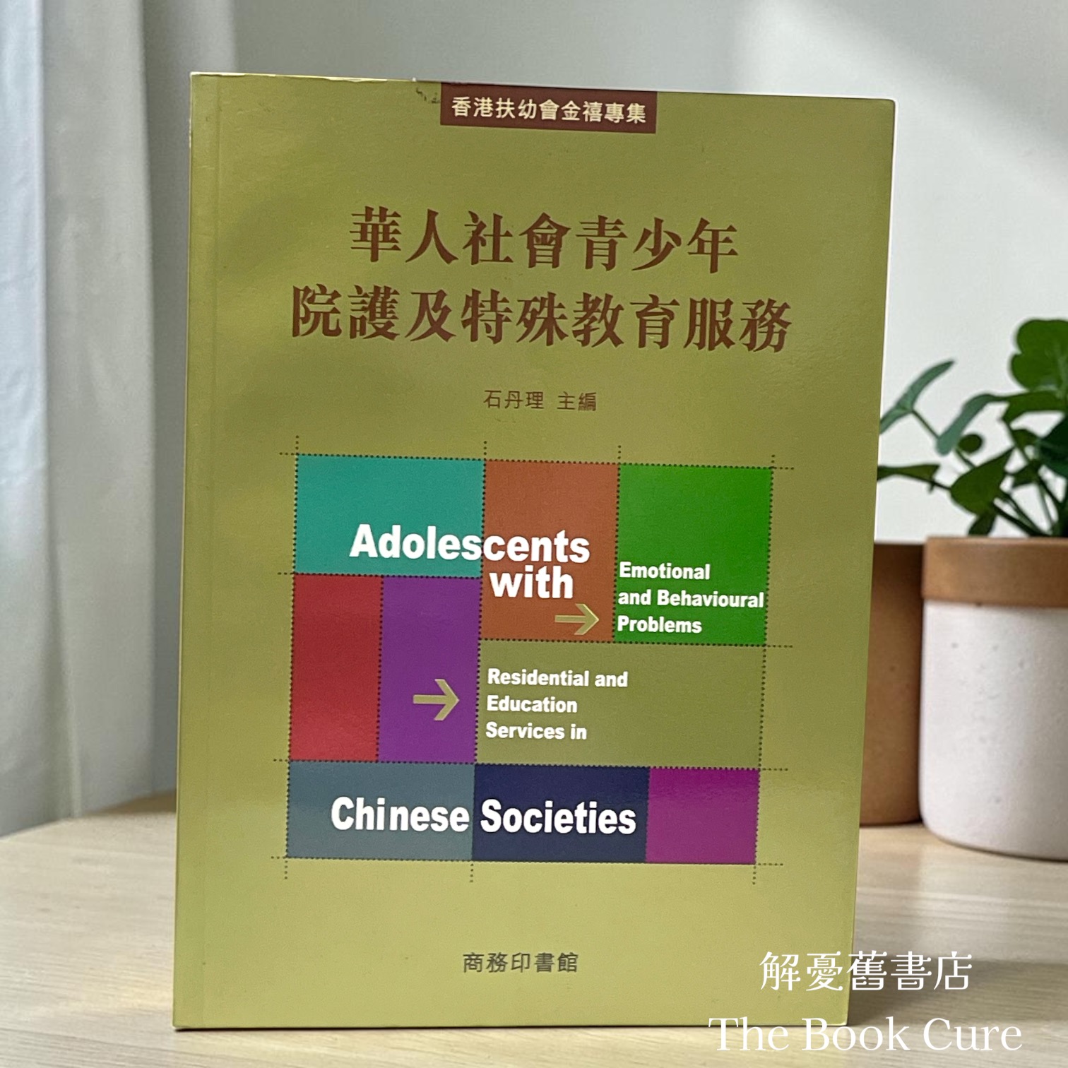 華人社會青少年院護及特殊教育服務 / 石丹理 主編