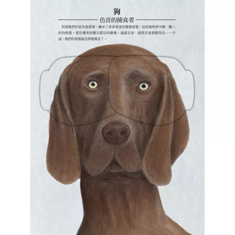 動物眼中的世界（典藏新裝版）