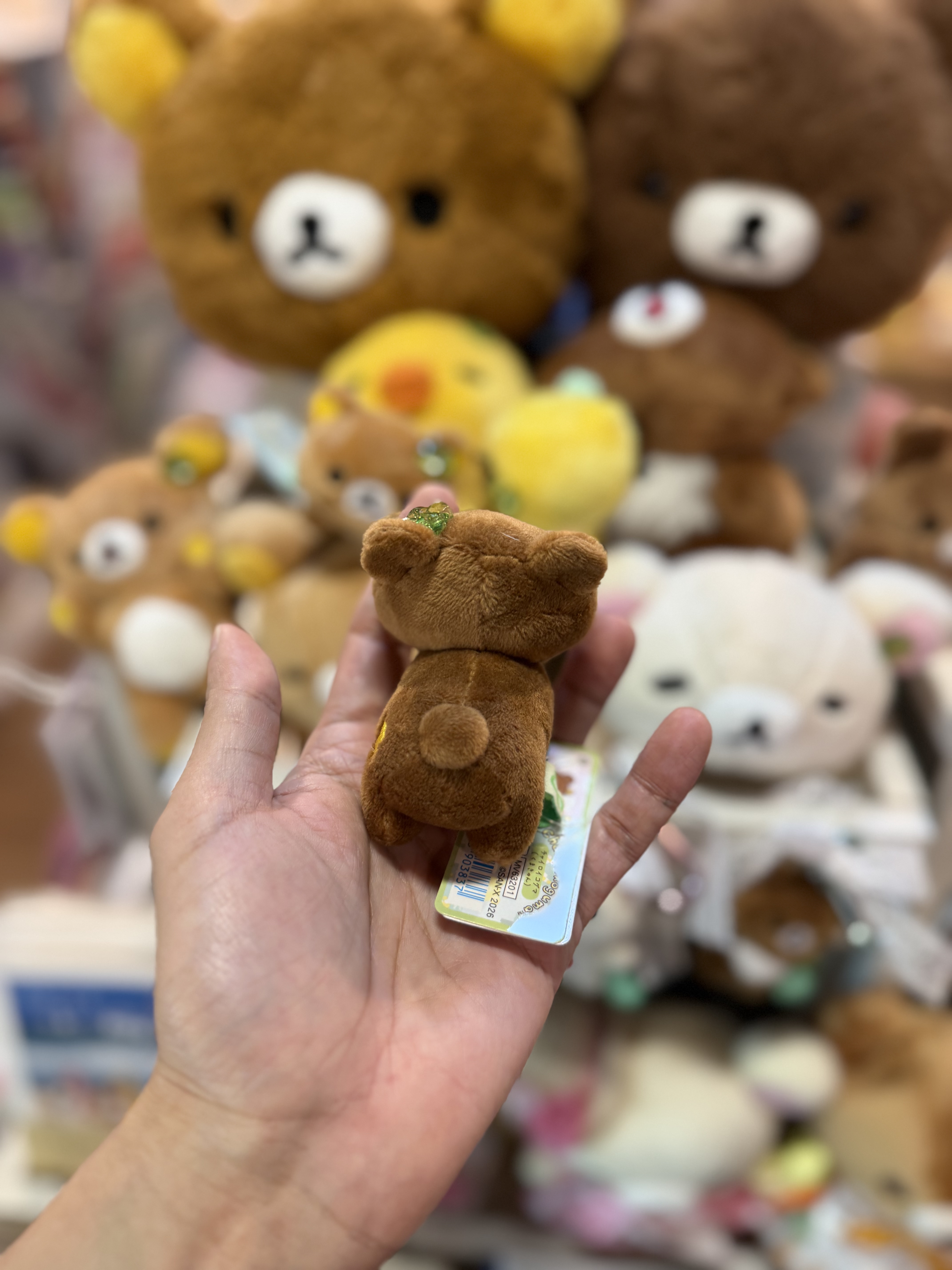 《現貨》全新小熊10週年紀念四葉草系列趴地手玉公仔