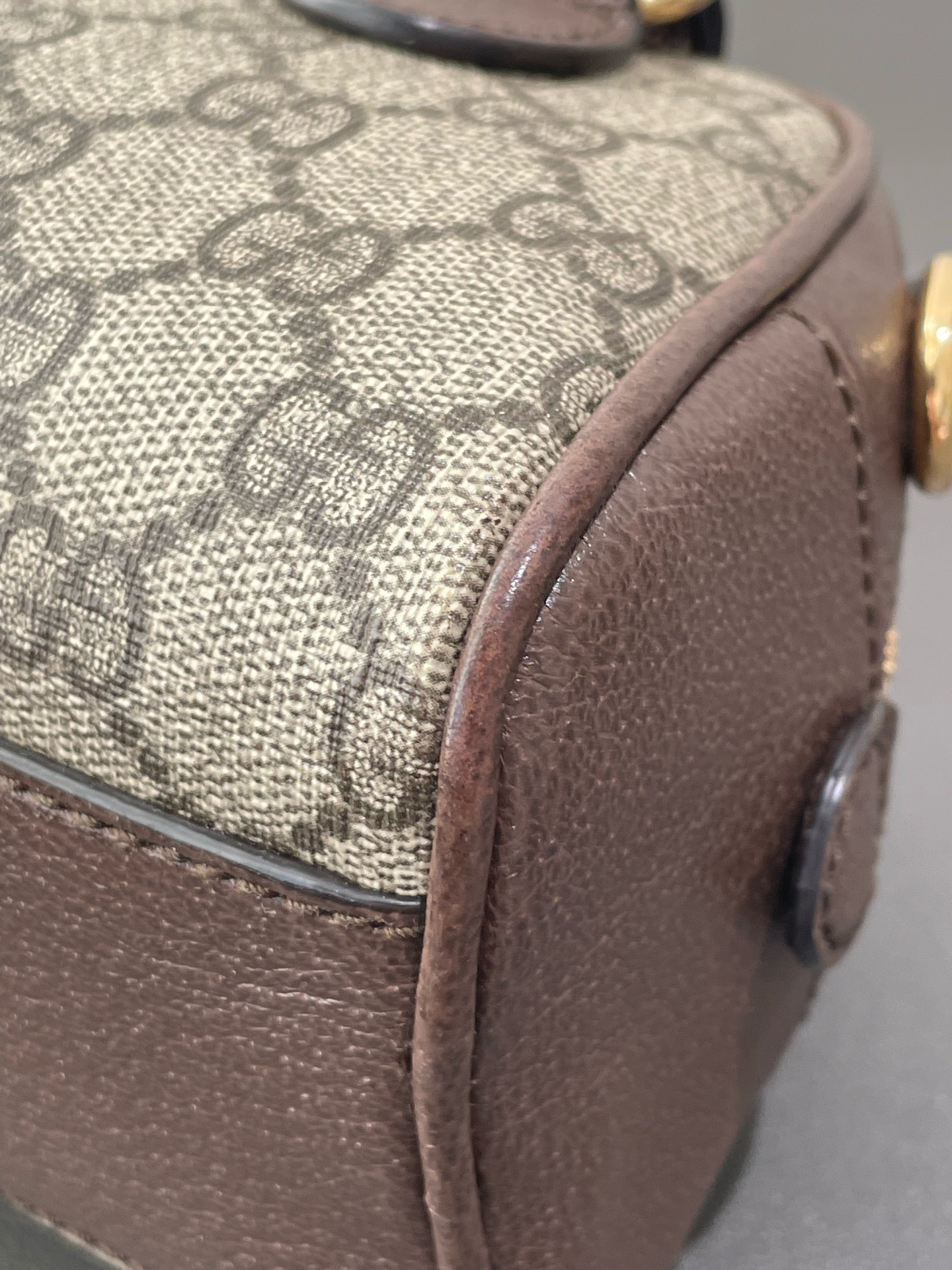 【預訂貨品】Gucci Ophidia 老花相機包