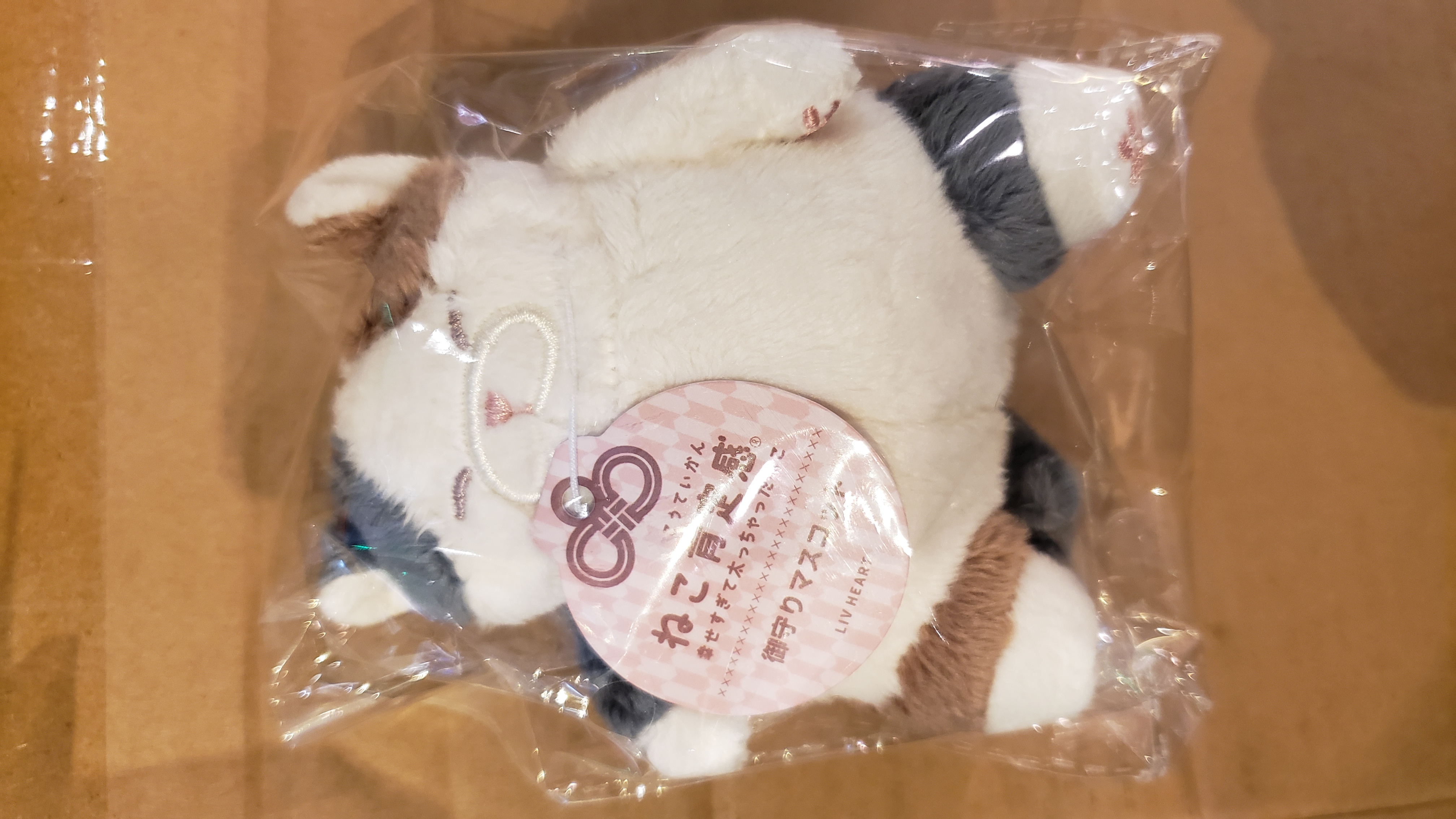 貓貓掛件（3色）