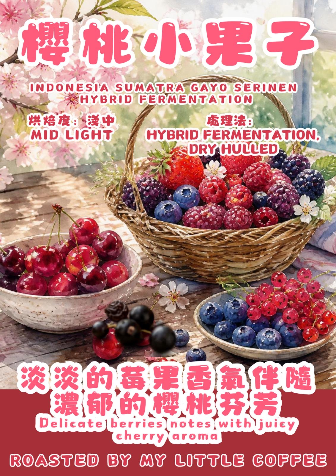 咖啡豆- 印尼櫻桃小果子