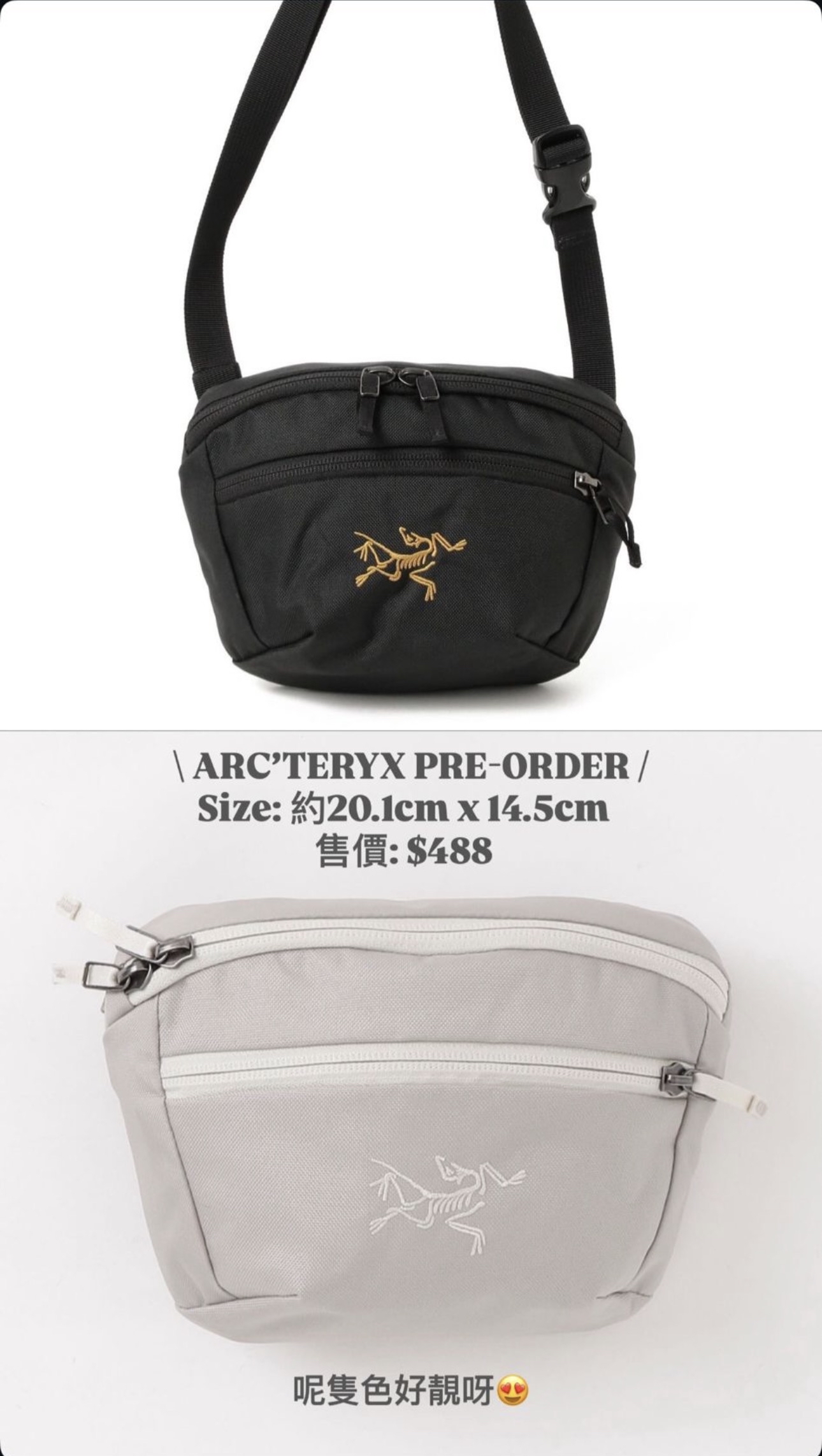 Arcteryx bag