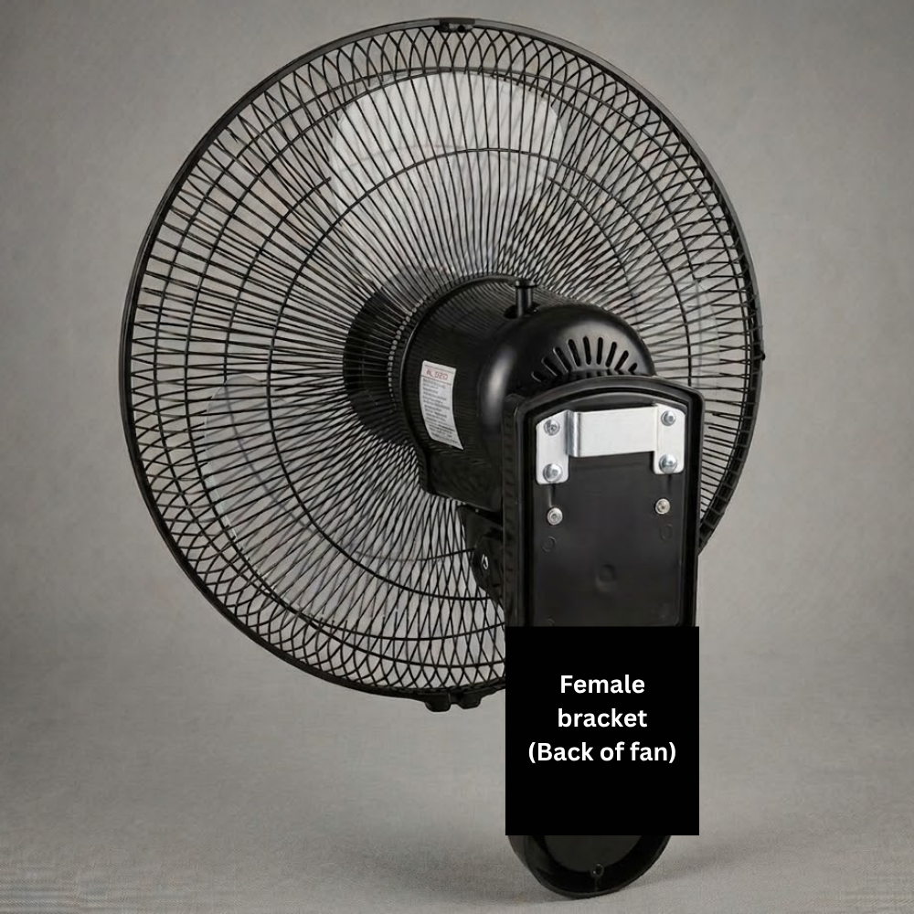 Rayco 16" Wall Fan with Remote Control RWFR3116R