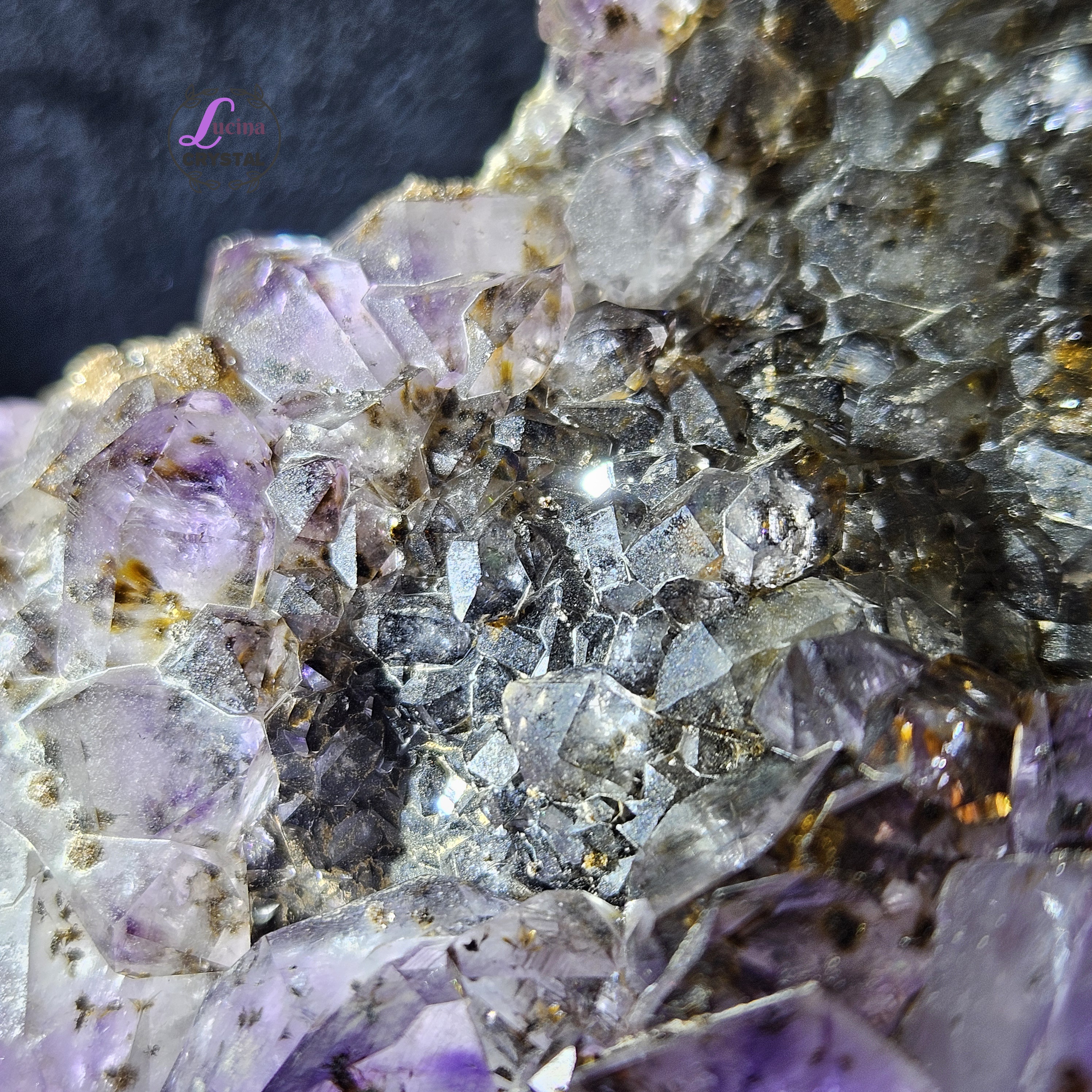 (Co#LC8556)紫鈦骨幹花水晶簇連木座/Elestial Amethyst Rutilated Flower Quartz Cluster w/wooden stand 