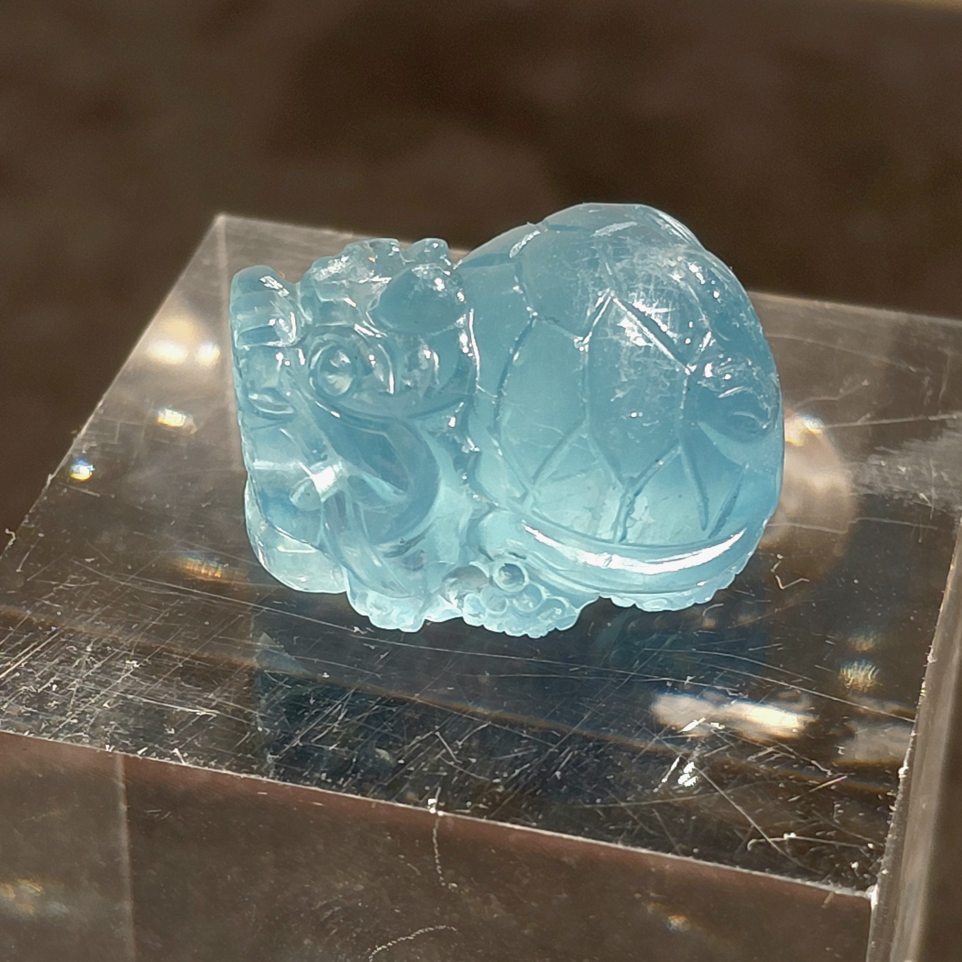 海藍寶龍龜