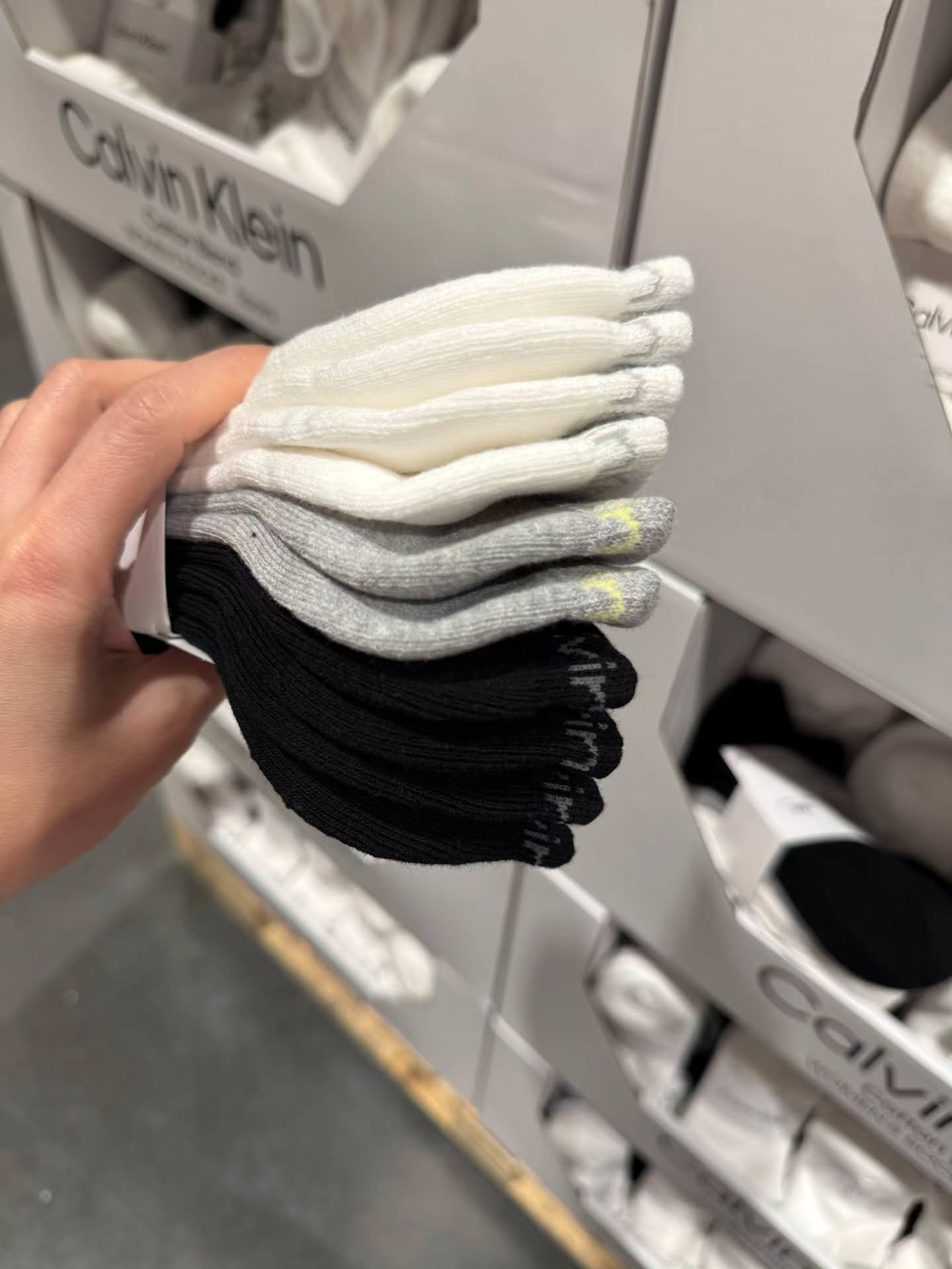 🇯🇵Ck 女款5对厚短袜