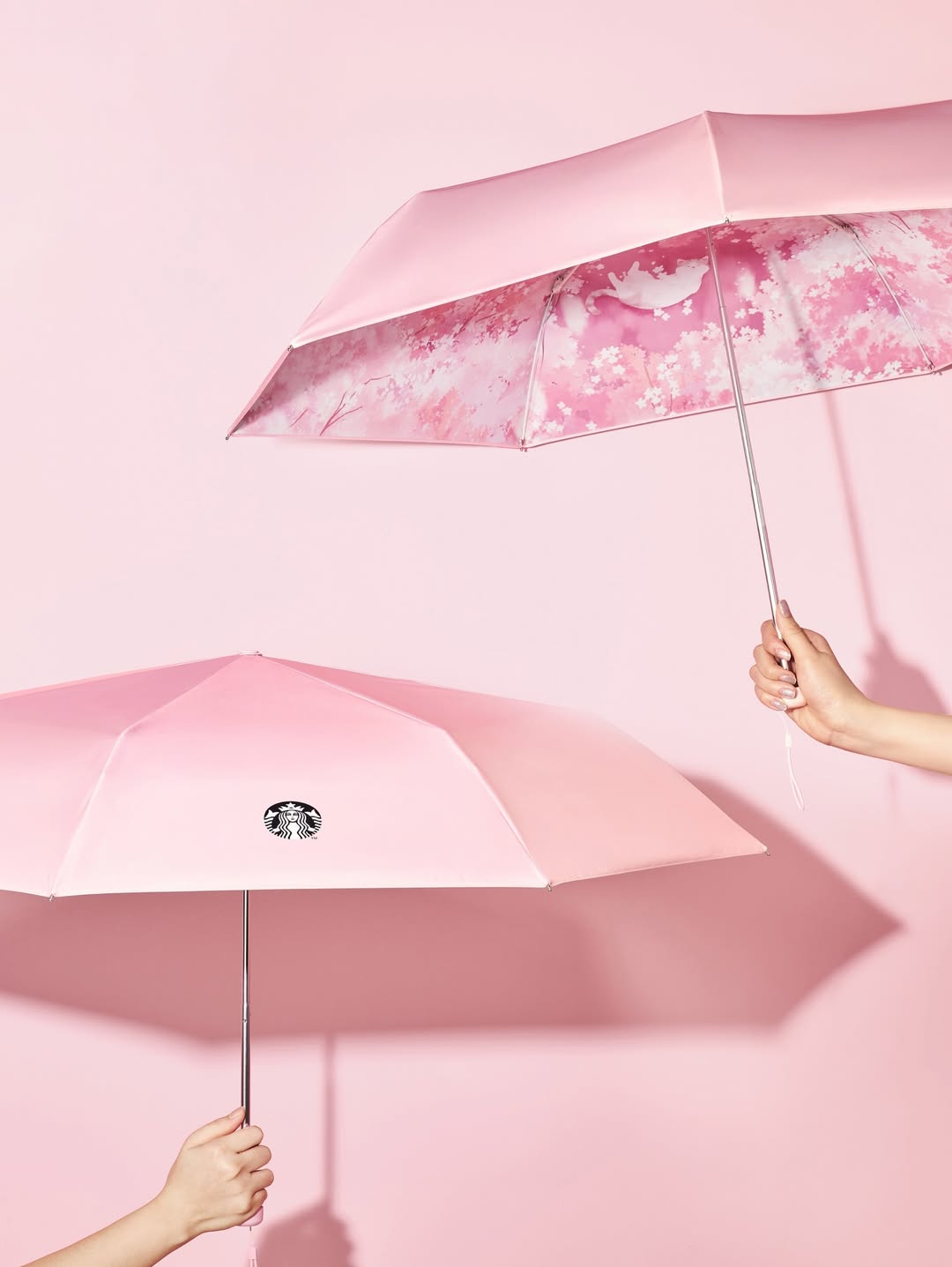 Starbucks - 韓國Starbucks 2026 Bloom into Spring Vibes 櫻花限定