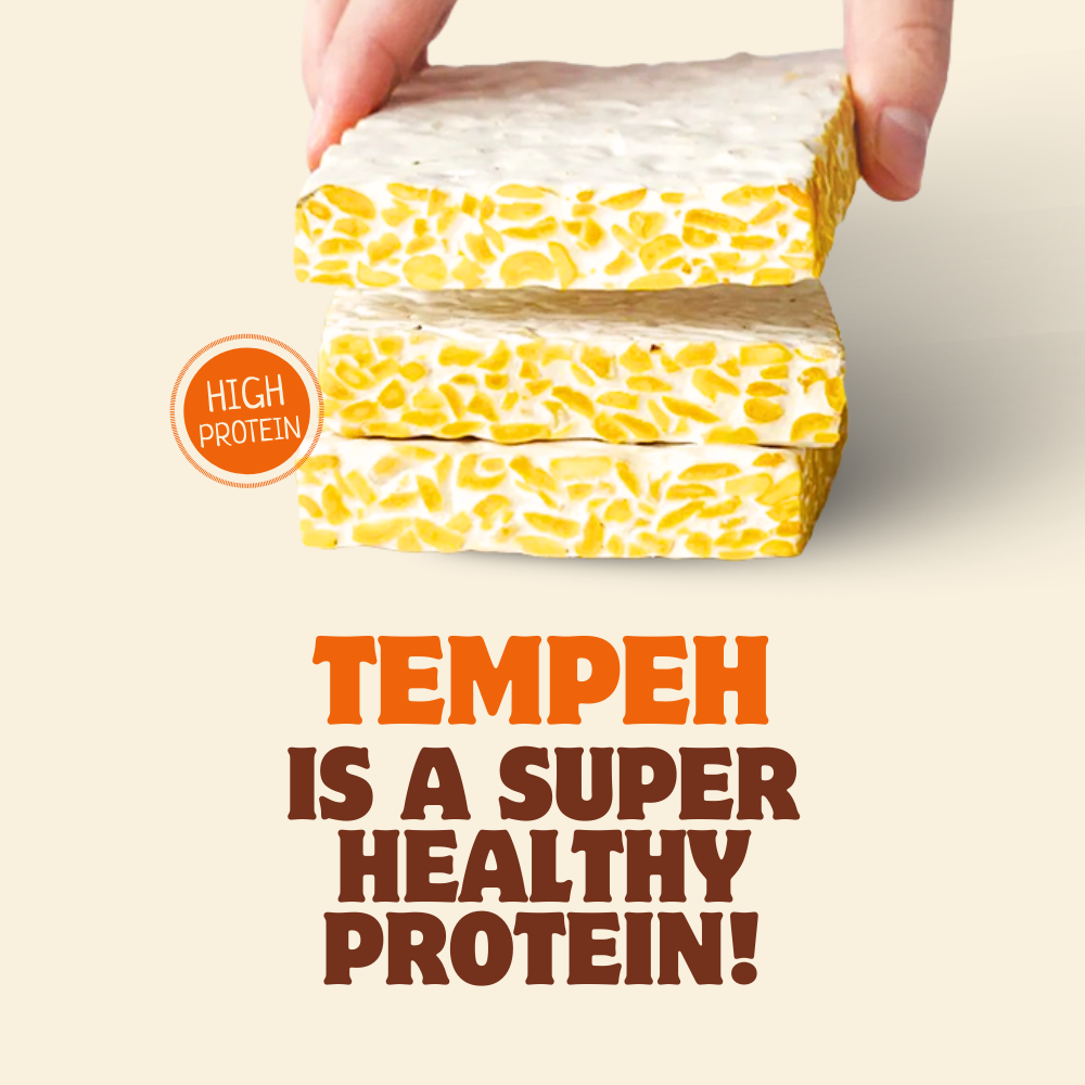 有機黃豆藜麥天貝 Organic Soy Quinoa Tempeh