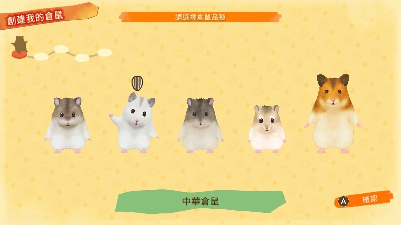 【預售 12/3】NS 箱庭開拓：倉鼠與太陽之鄉 Hamster and the Village of the Sun 中/英/日文  (中文封面) PO0430