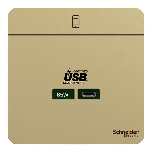 施耐德 AvatarOn 沉醉金 65W Type C USB快速充電 插座
