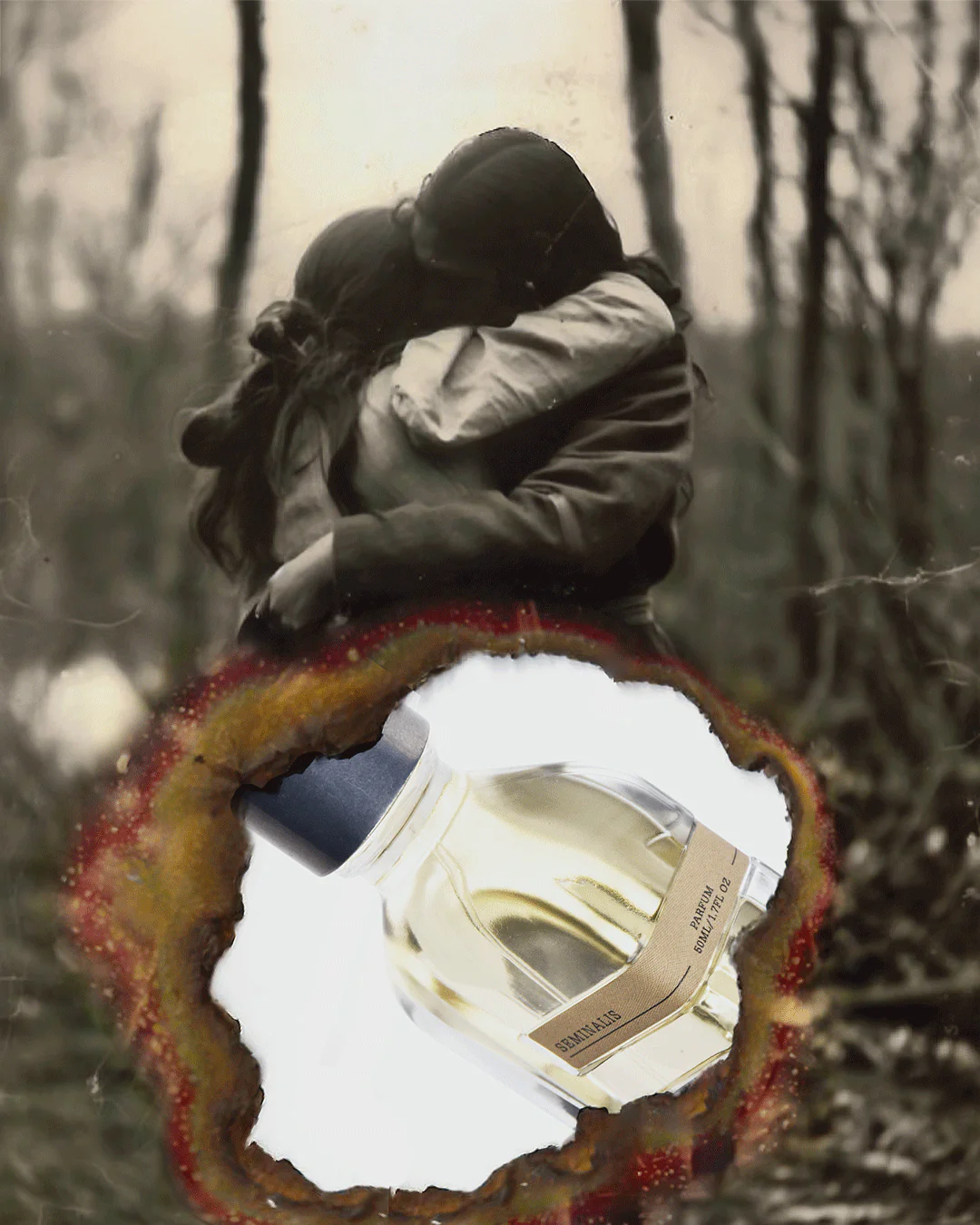 Seminals - Orto Parisi