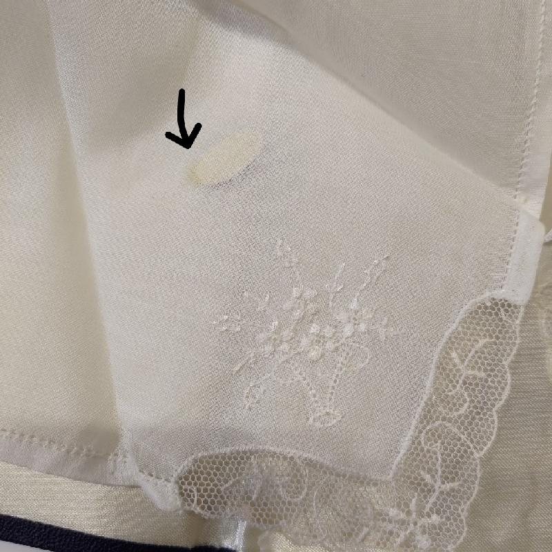 Vintage Made in Switzerland Hand Embroidered Handkerchief (EX020)
