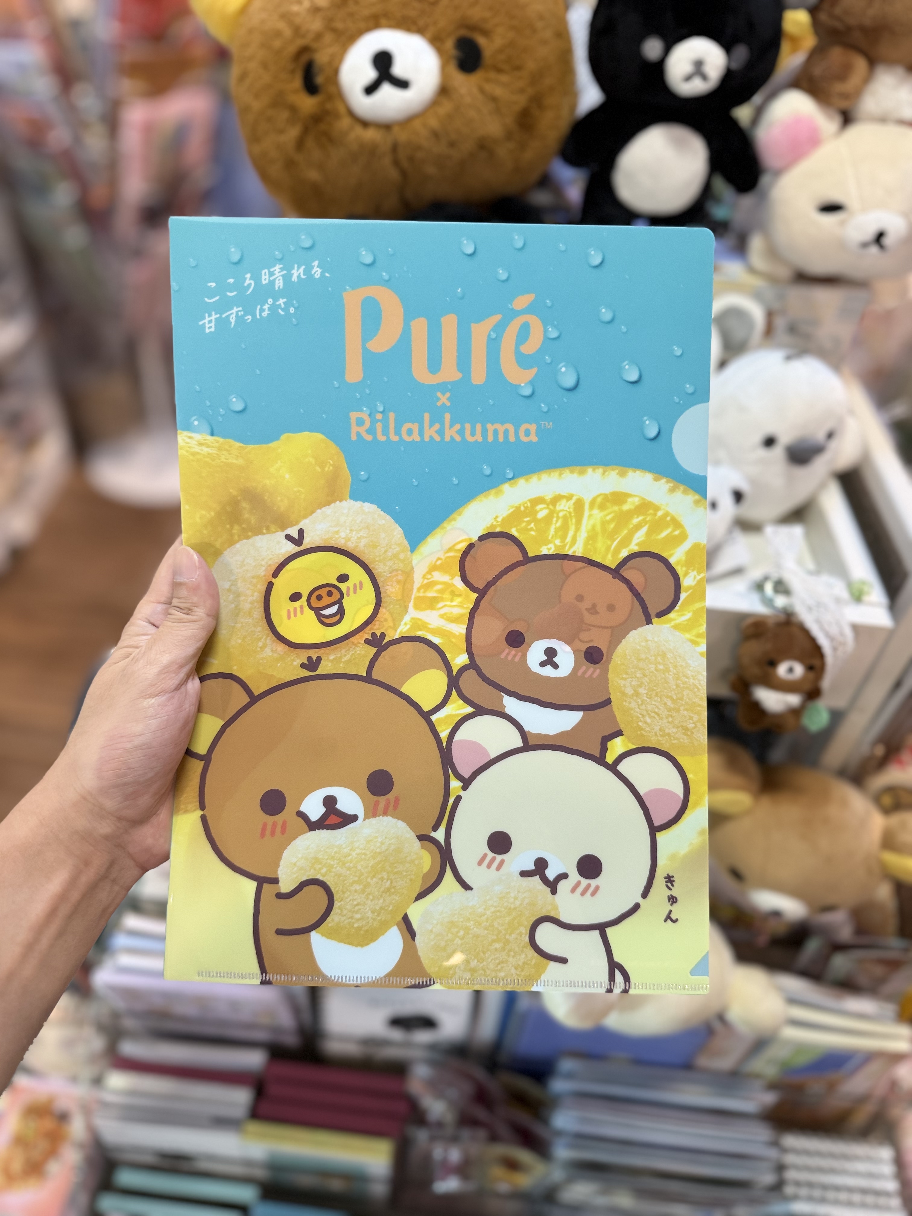 《現貨》全新loft 限定puregumi x rilakkuma 對裝file