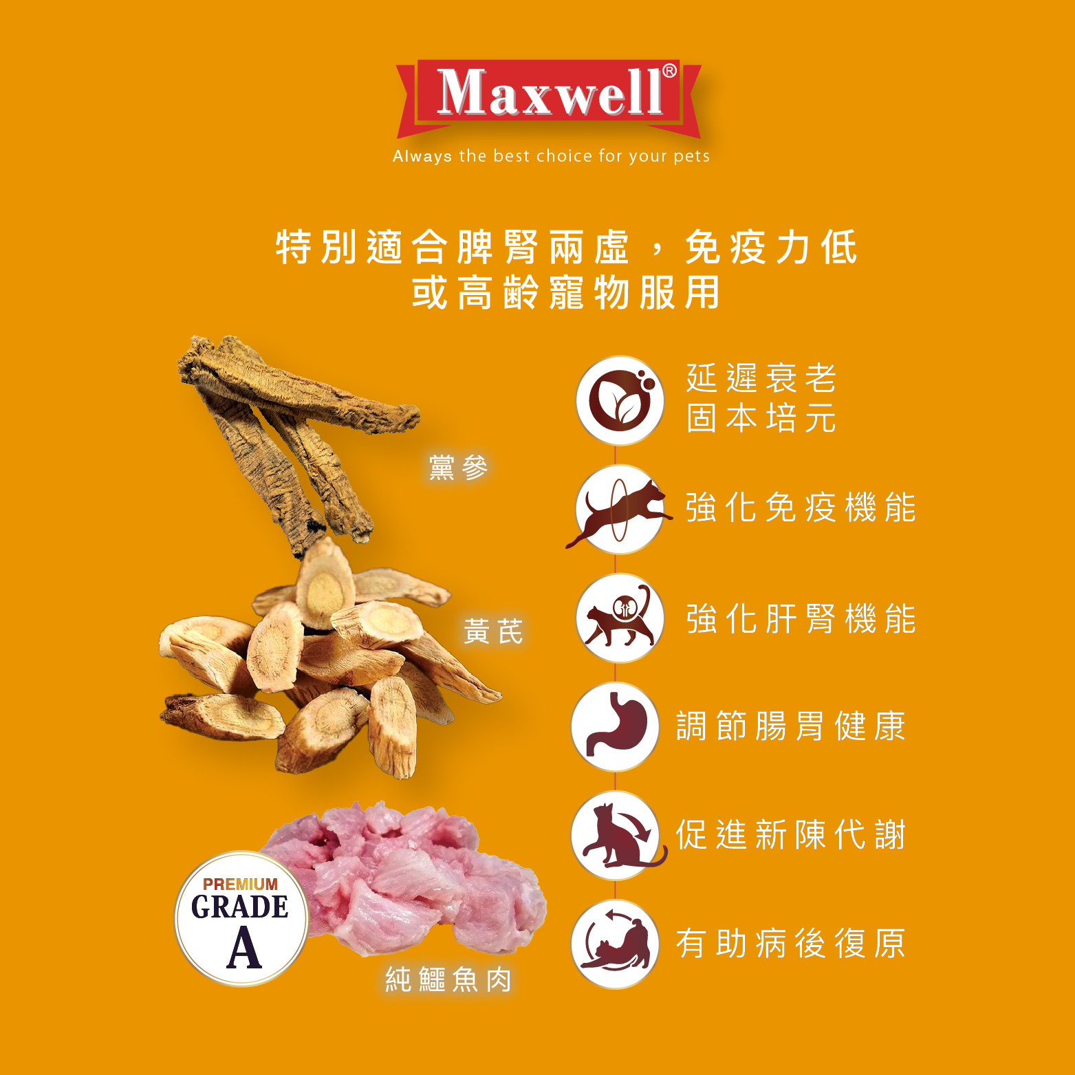 Maxwell|純鱷魚黃芪黨參粉50g (MXA-4729)
