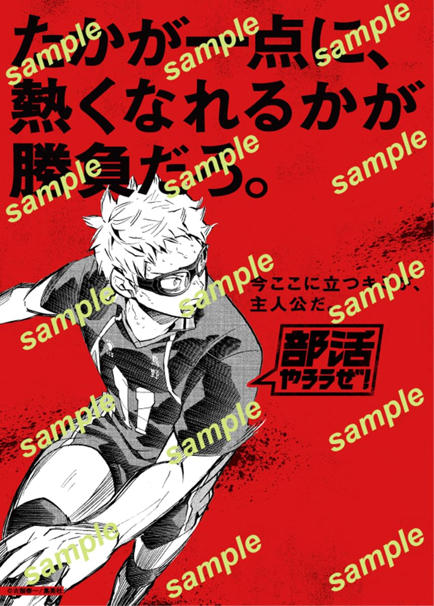 排球少年部活文件夾SET｜Sportiva 部活特集號