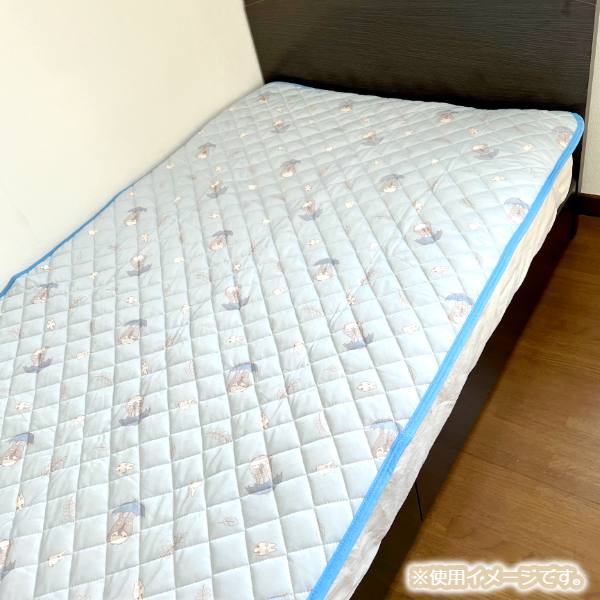 🆕【⭐訂購⭐】🌀 🇯🇵 日本直送 #龍貓 接觸涼感床墊［2款選］🌀 [ELED-0234][260625]