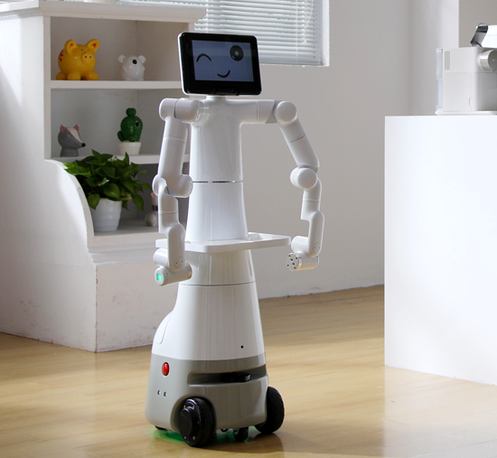 Mercury X1 Humanoid Robot