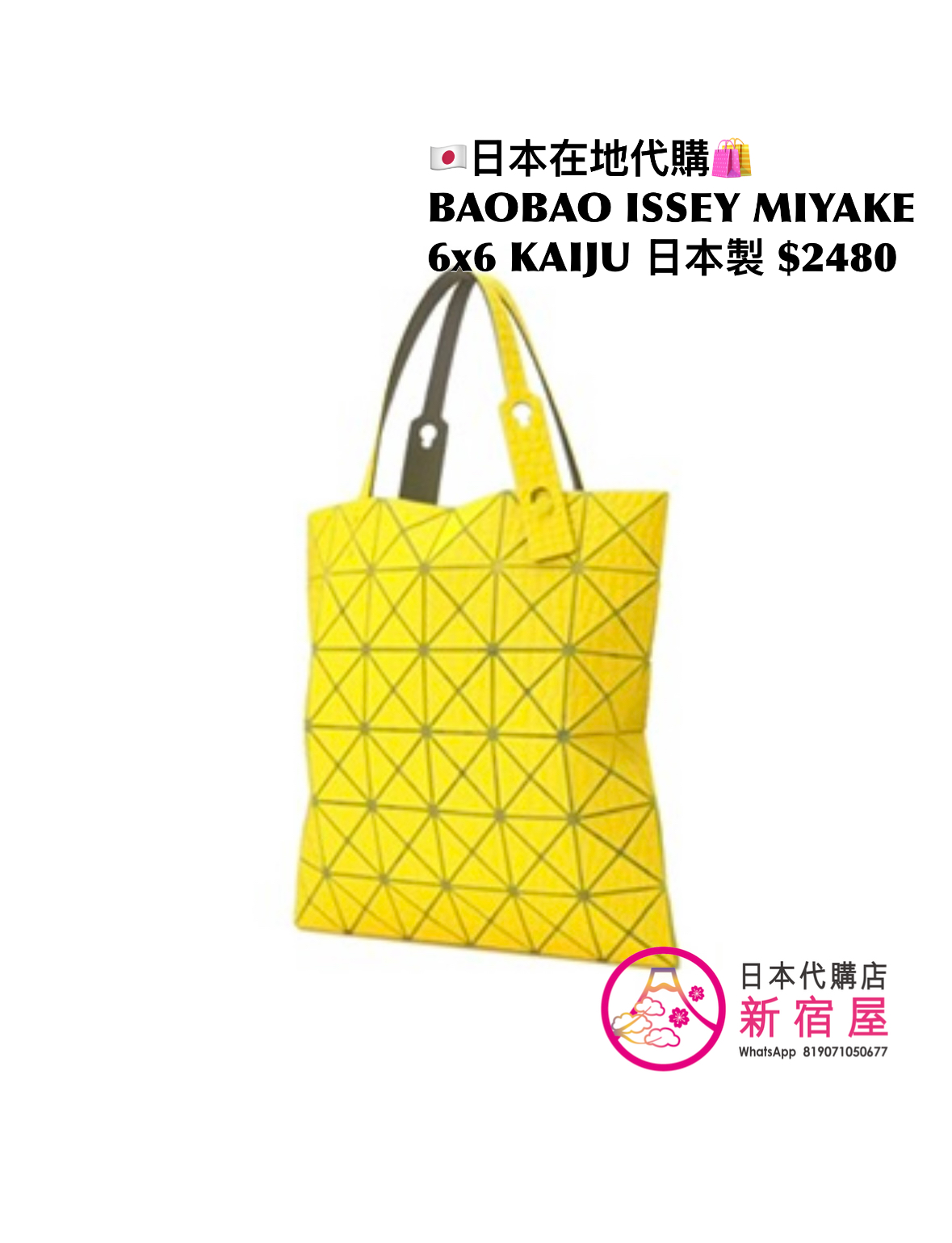 BAOBAO ISSEY MIYAKE 6x6 KAIJU