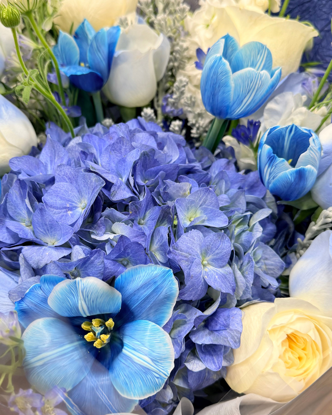 藍色鬱金香繡球花束 