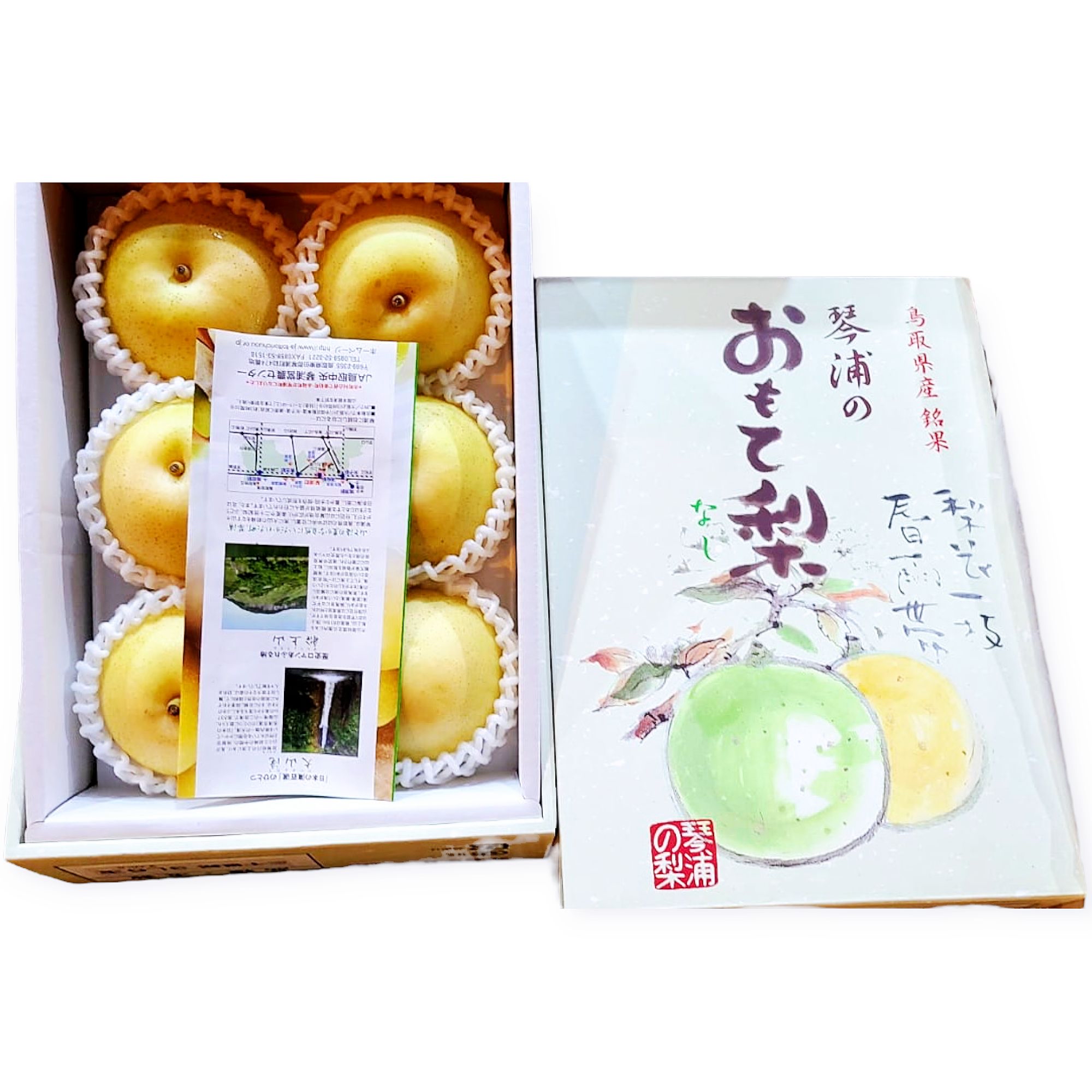 日本鳥取縣20世紀水晶梨禮盒（6玉）$348/箱