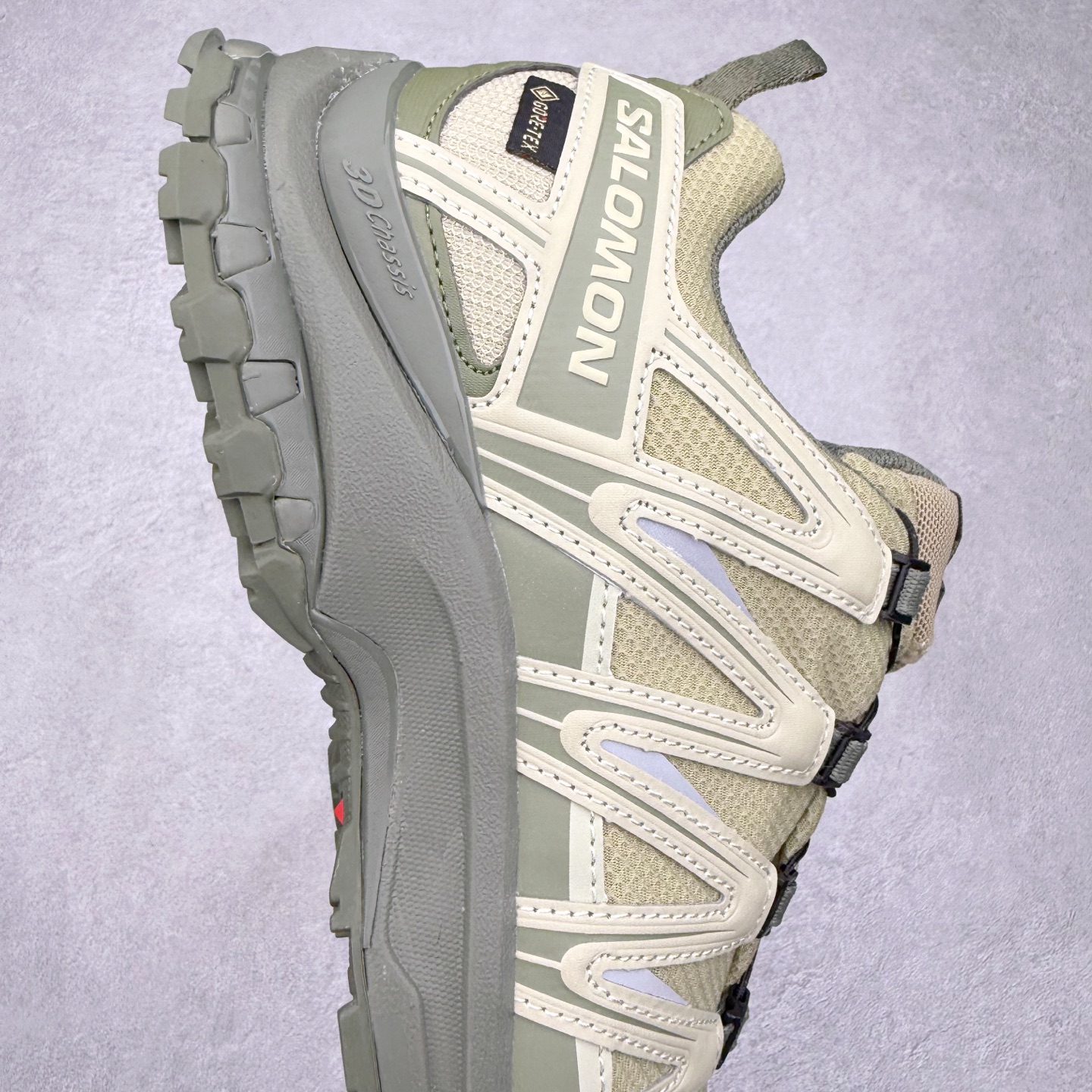 Salomon XA Pro 3D V9 GORE-TEX