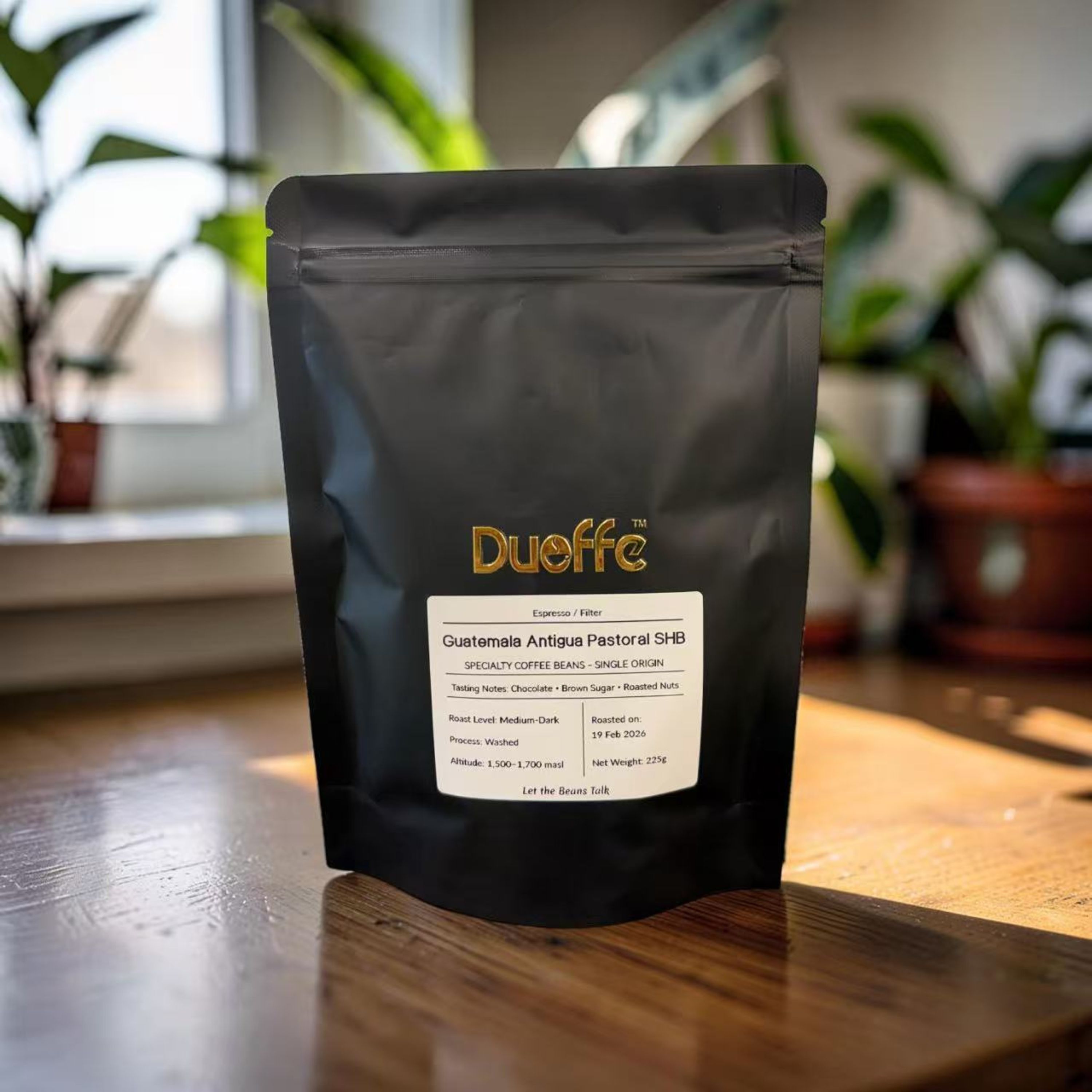 Guatemala Antigua Pastoral SHB